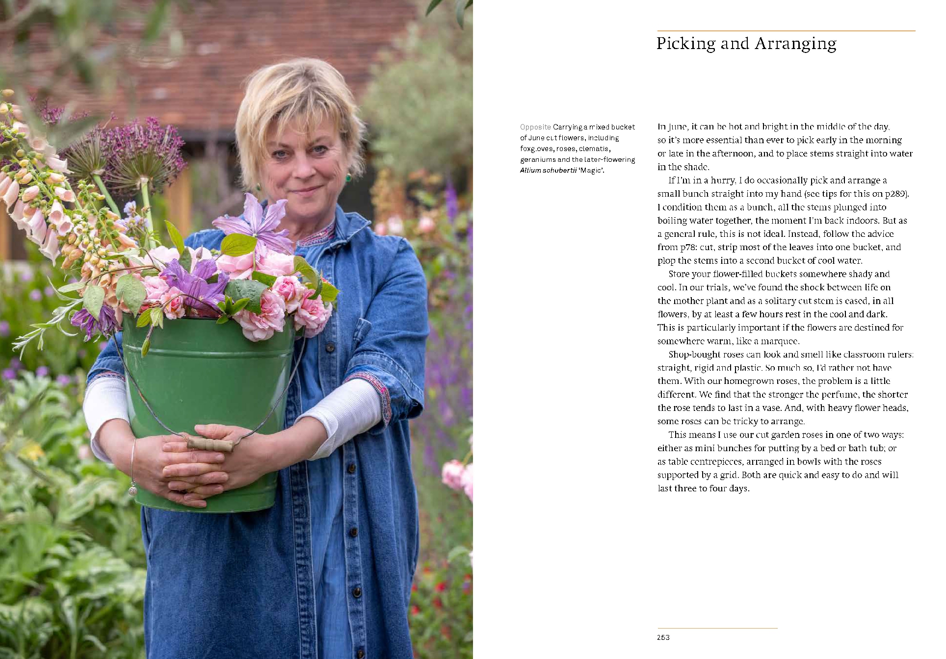 A Year of Cut Flowers