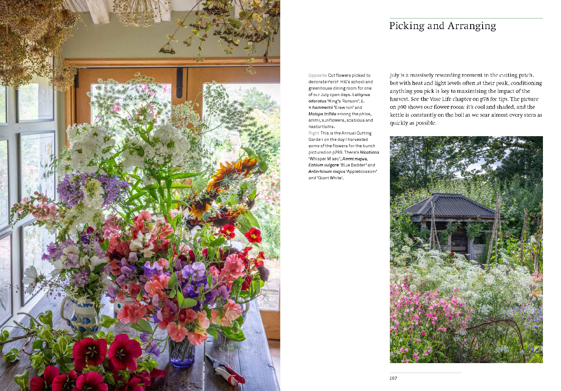 A Year of Cut Flowers