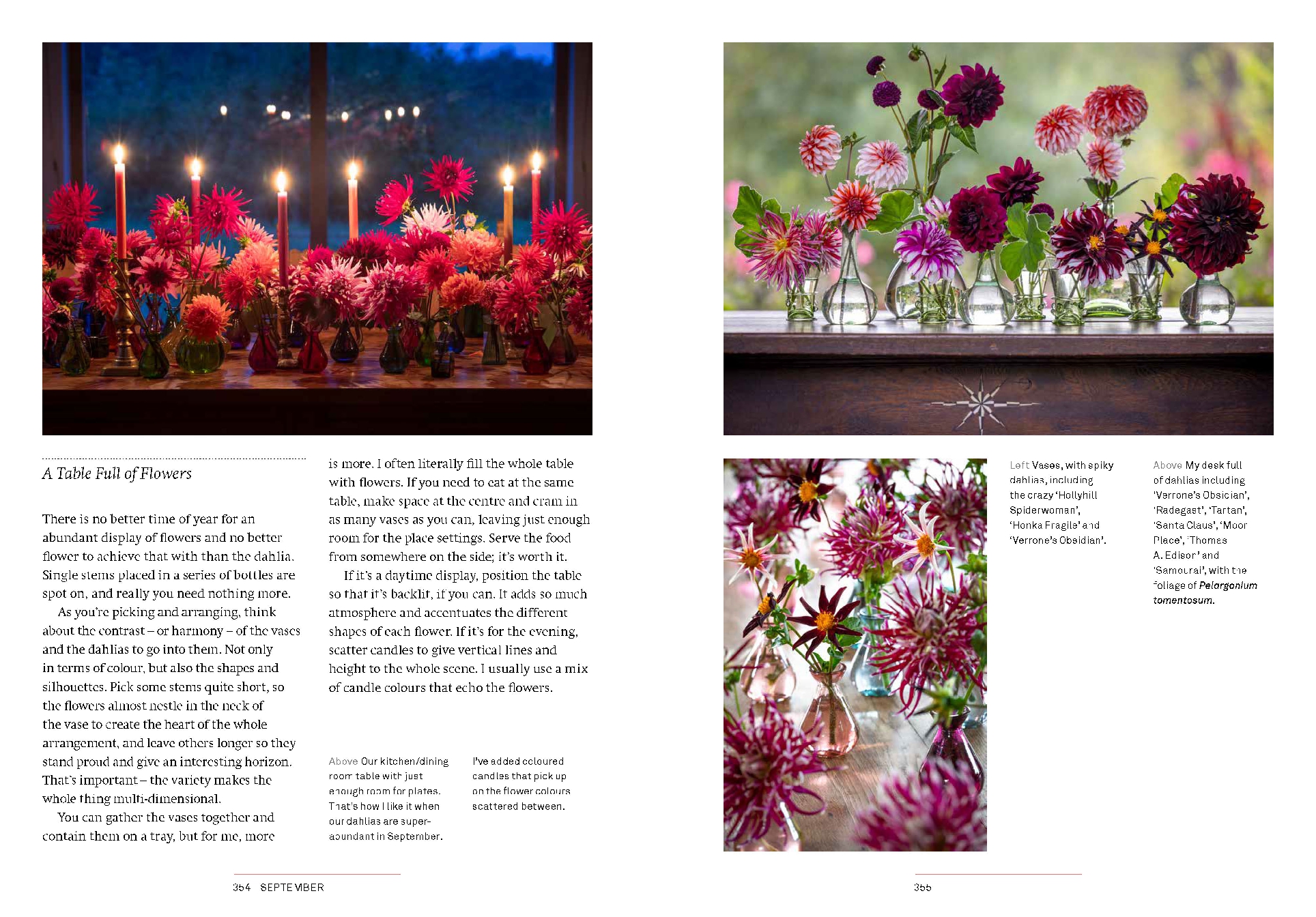 A Year of Cut Flowers