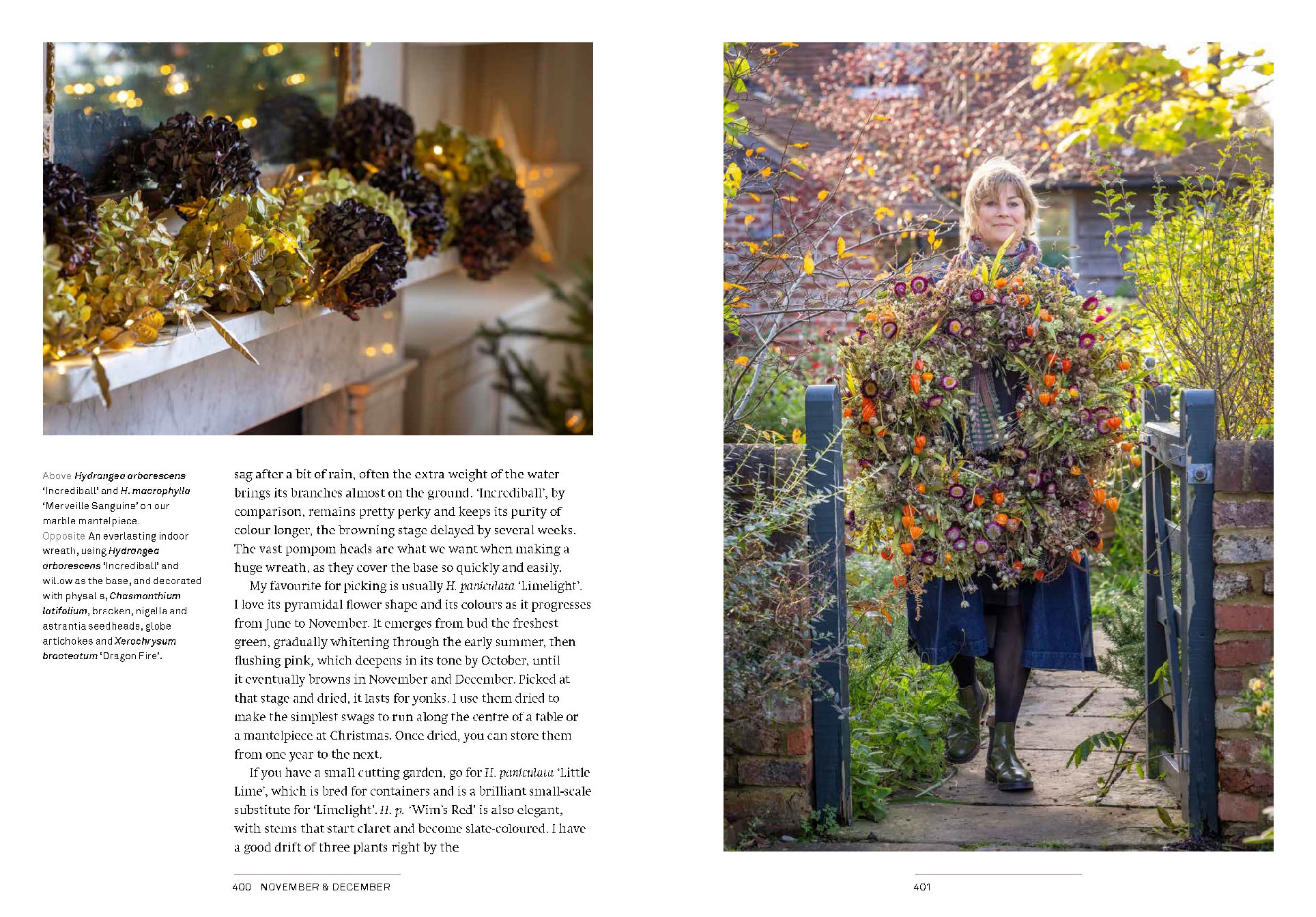 A Year of Cut Flowers