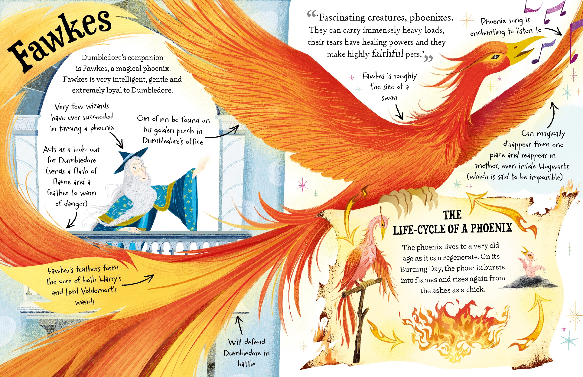 Professor Dumbledore (Pocket Potters - Little Guides to the HARRY POTTER Stories)