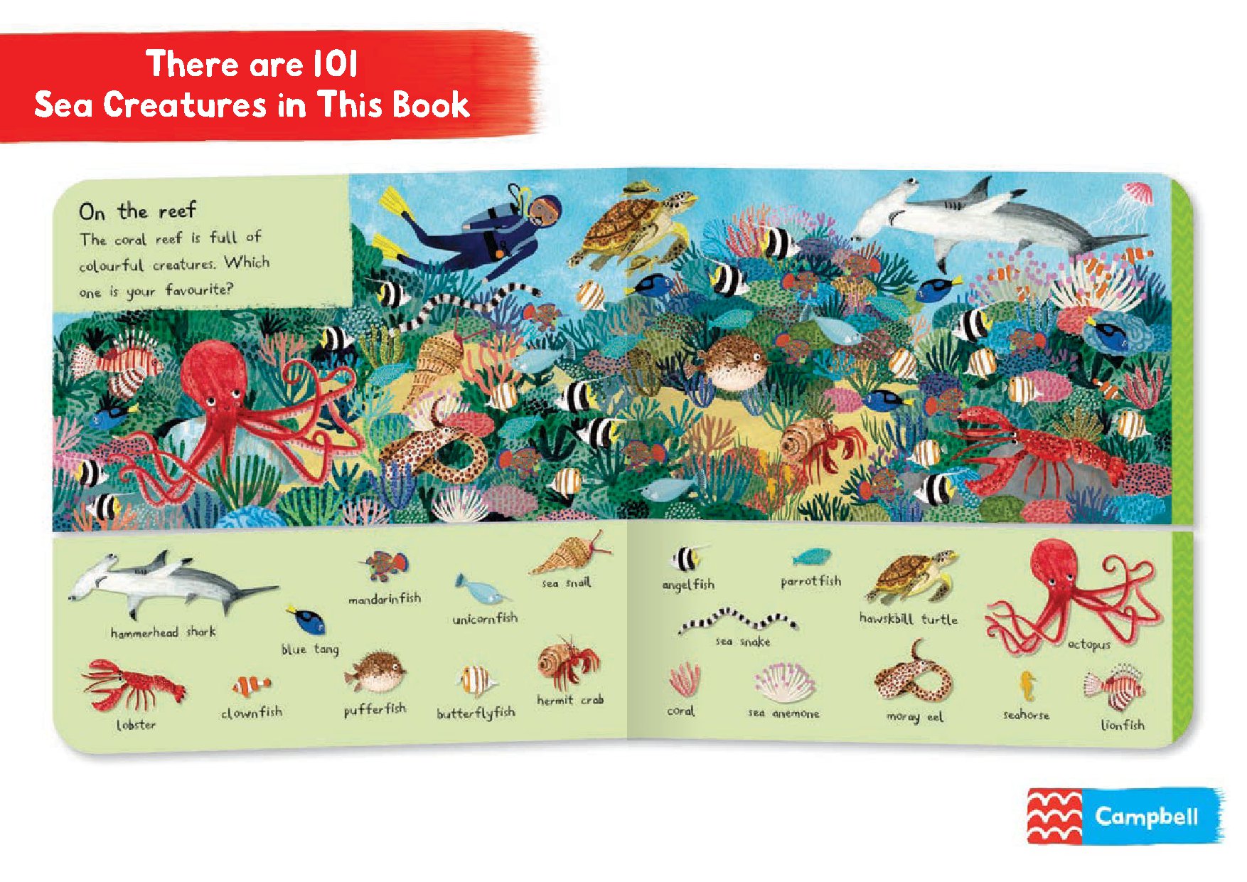 There Are 101 Sea Creatures in This Book