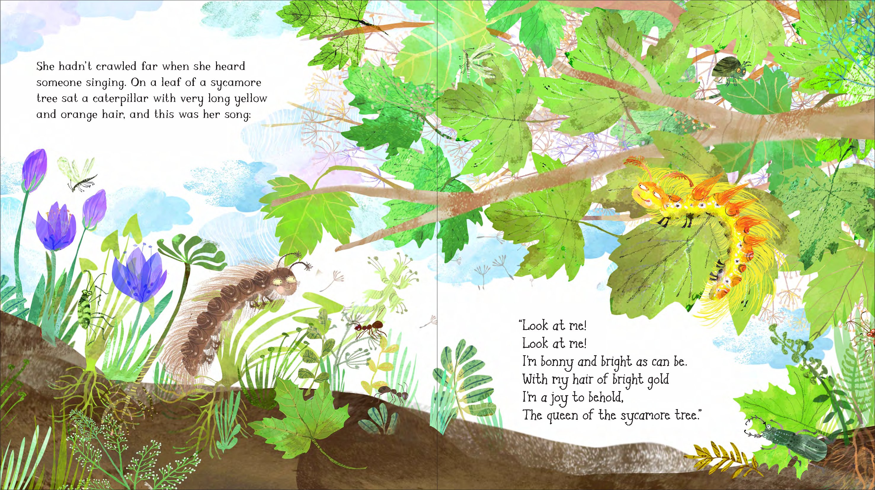 The Woolly Bear Caterpillar