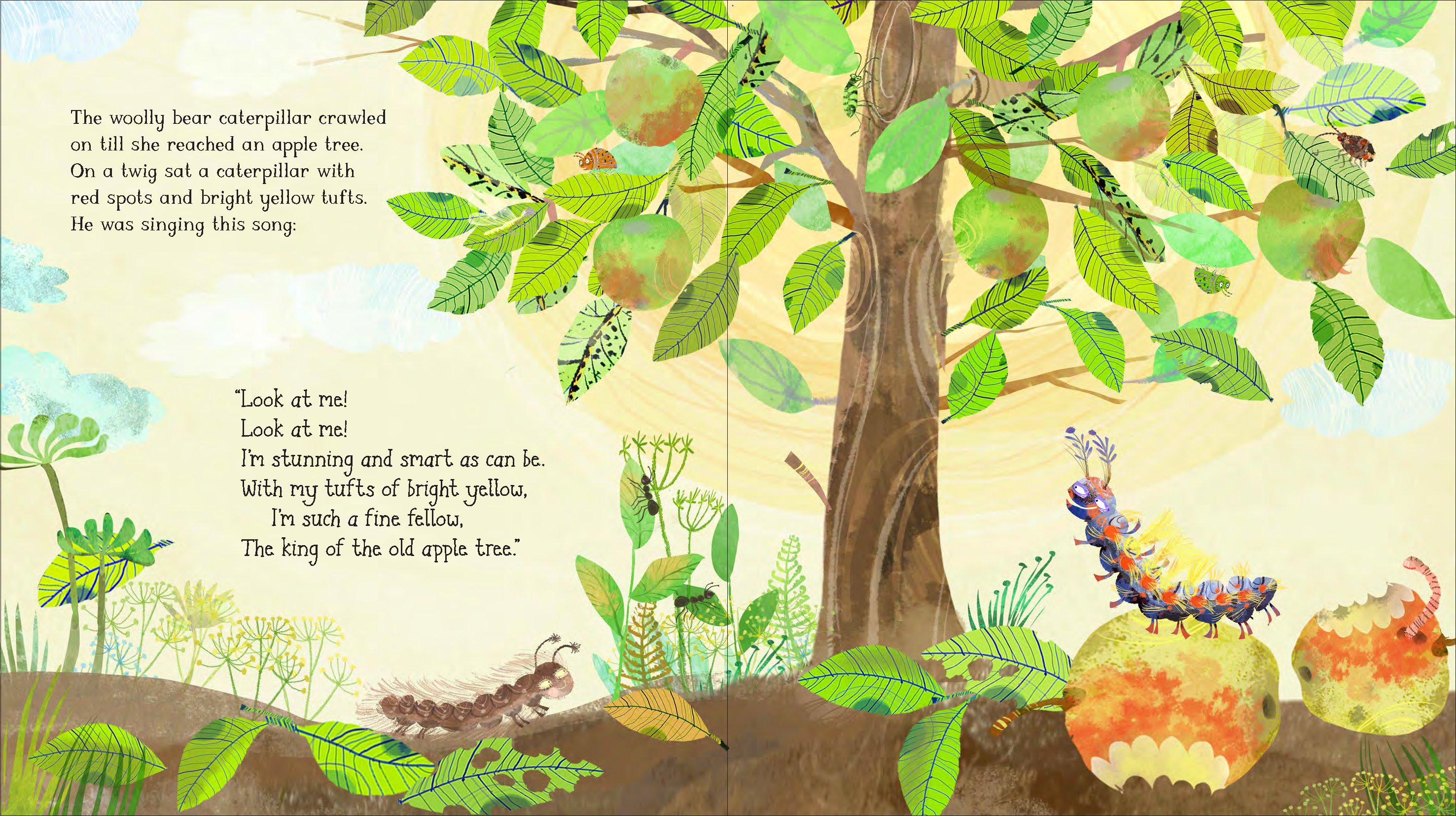 The Woolly Bear Caterpillar