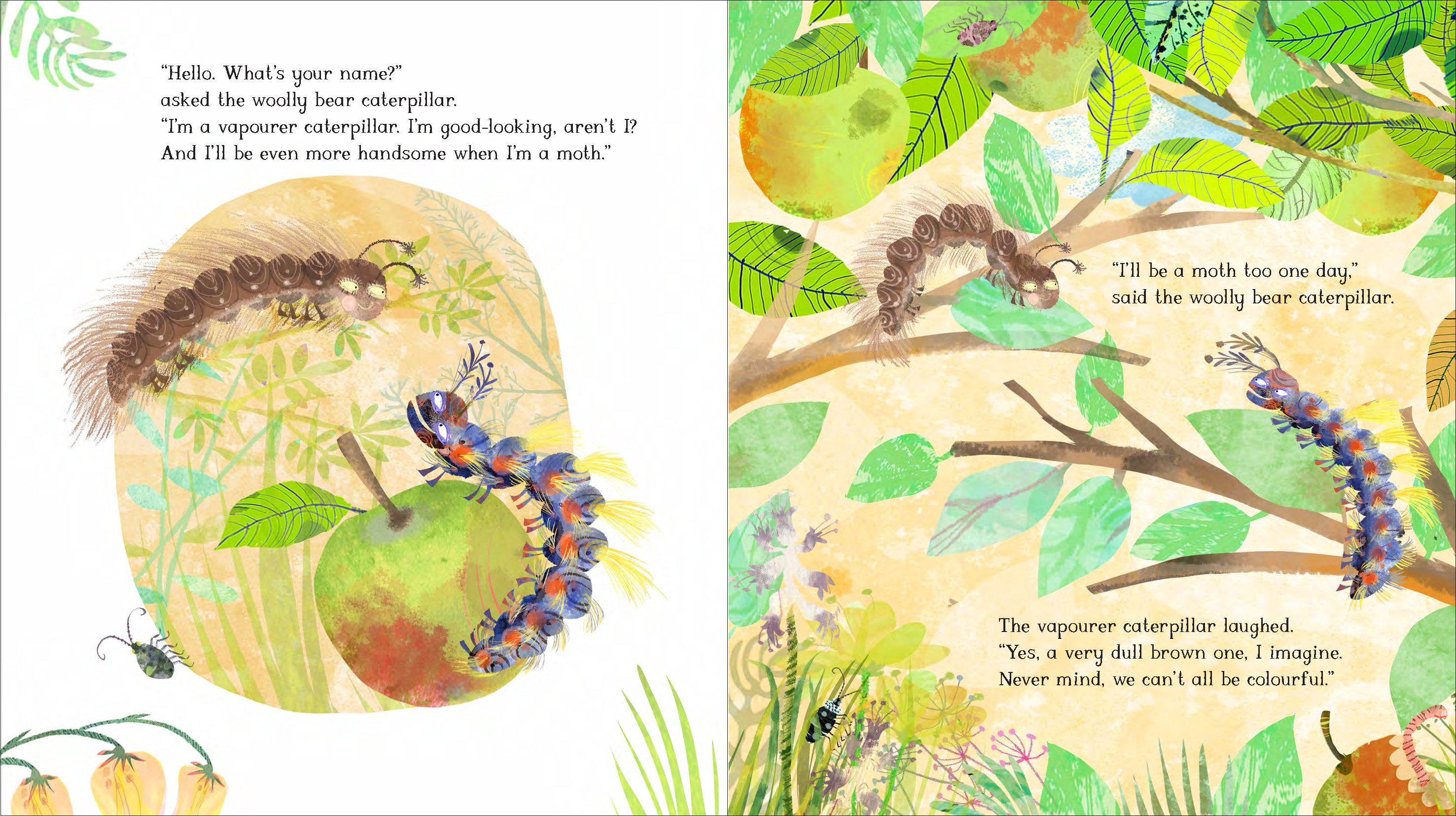 The Woolly Bear Caterpillar