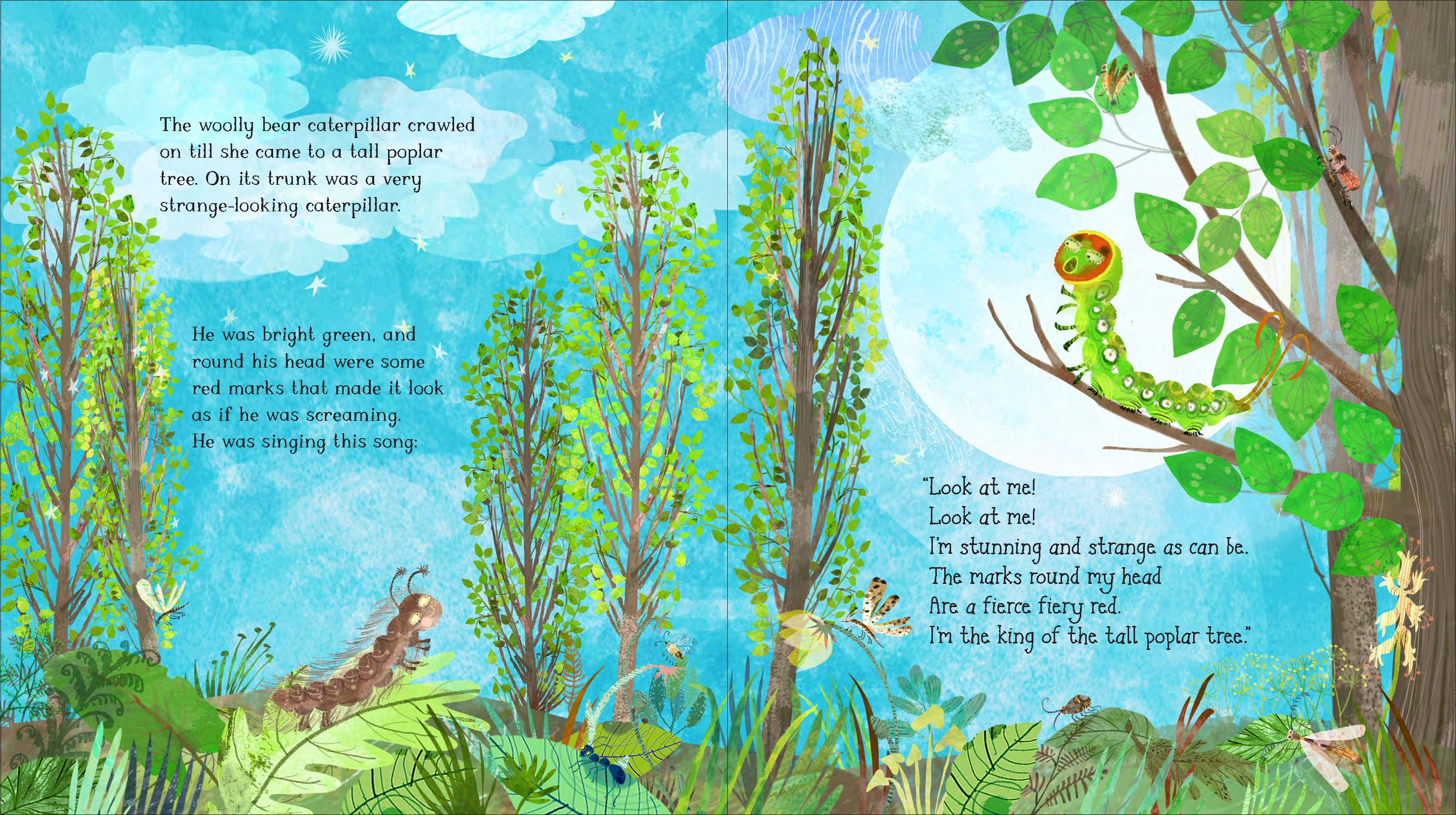 The Woolly Bear Caterpillar