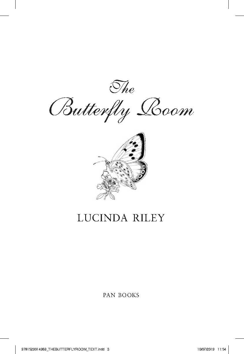 The Butterfly Room