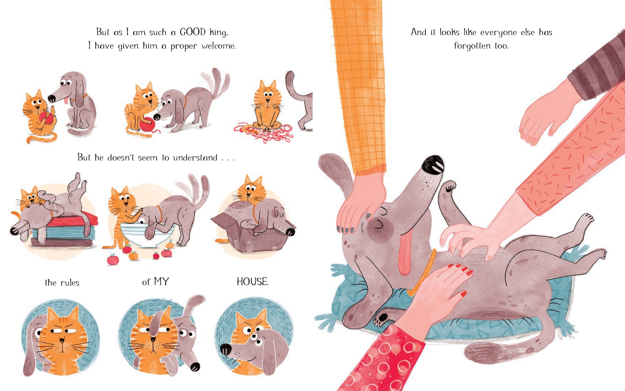 The King Cat