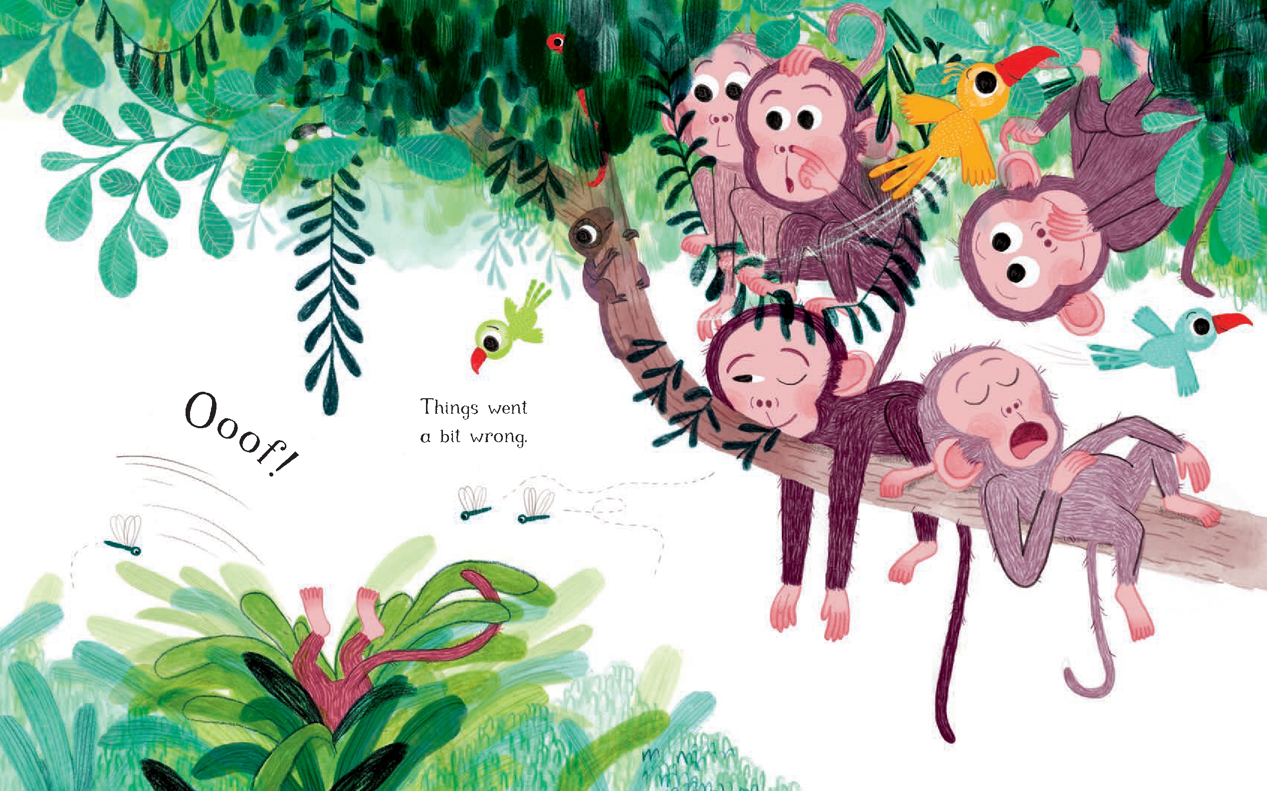 Little Monkey