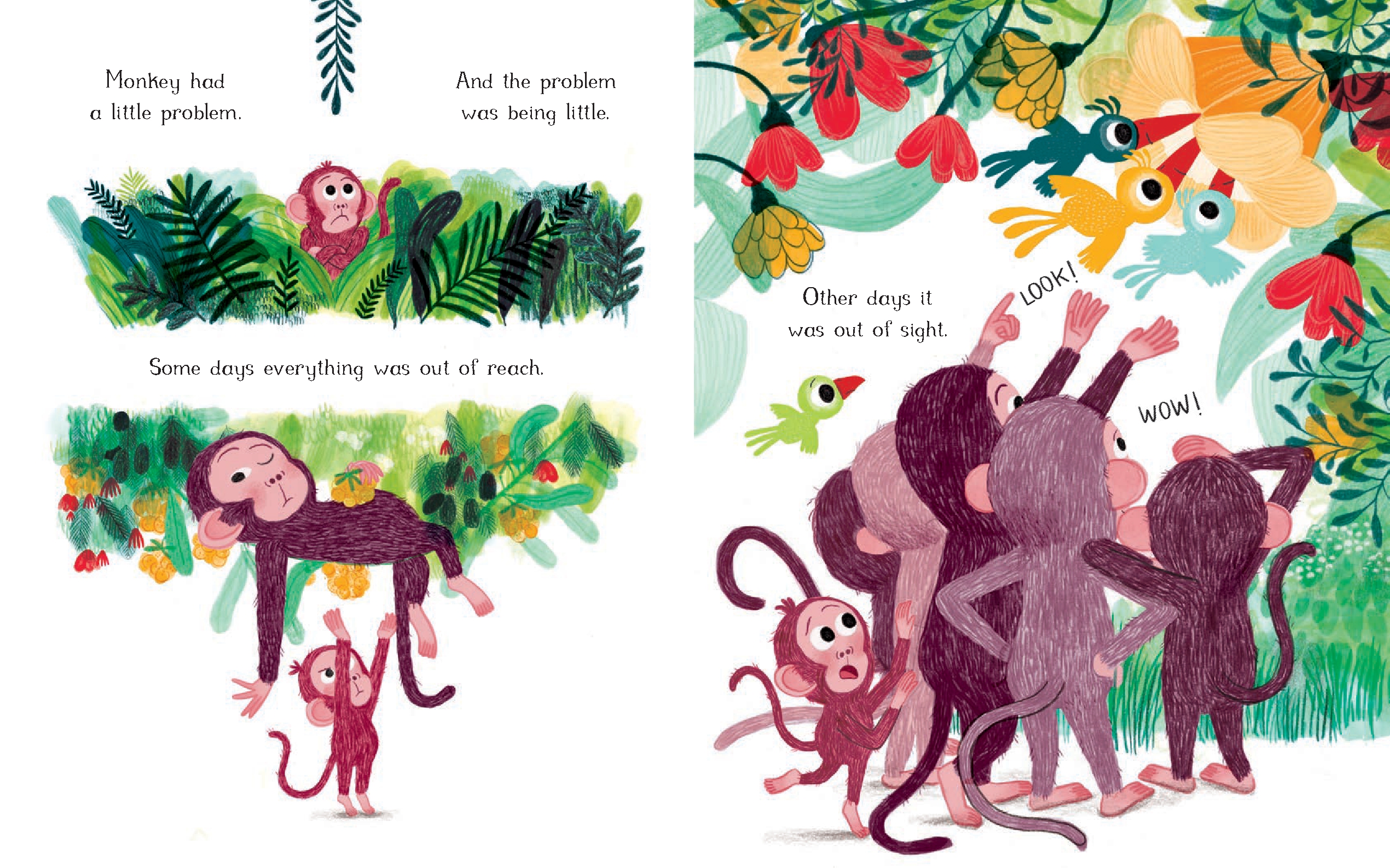 Little Monkey