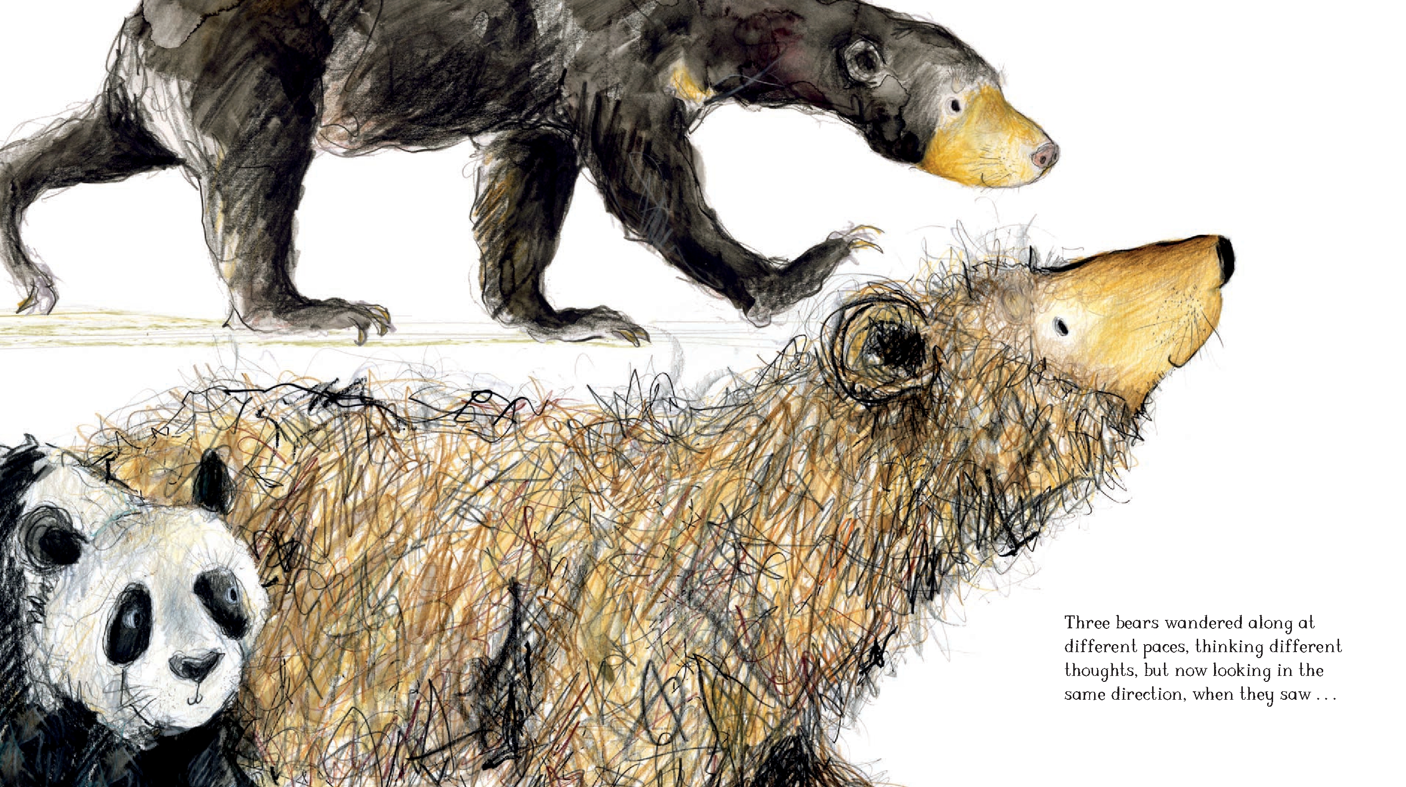 Five Bears