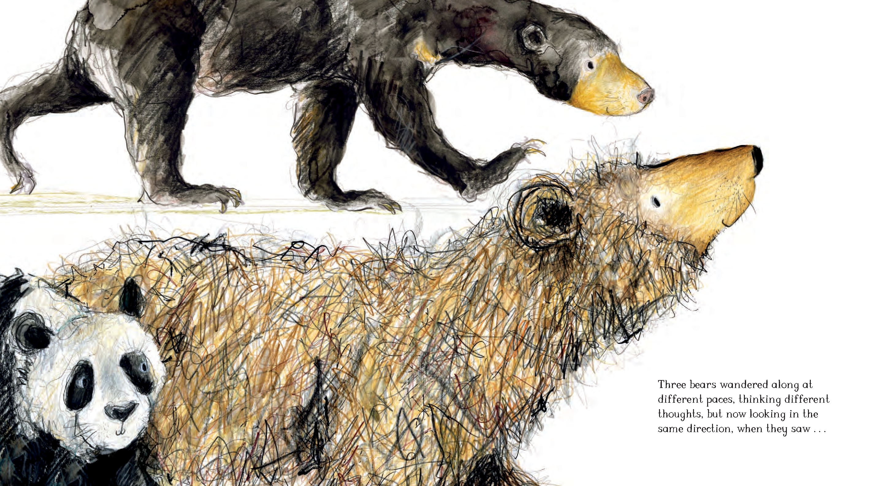 Five Bears