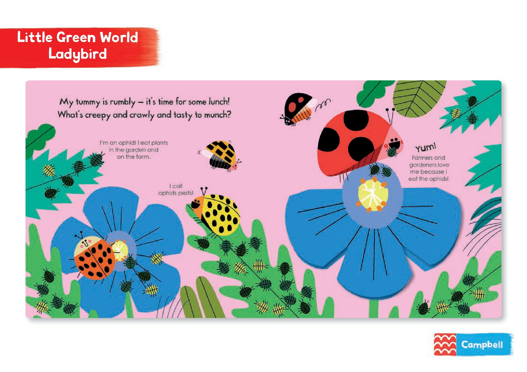 My Little Green World: Ladybird