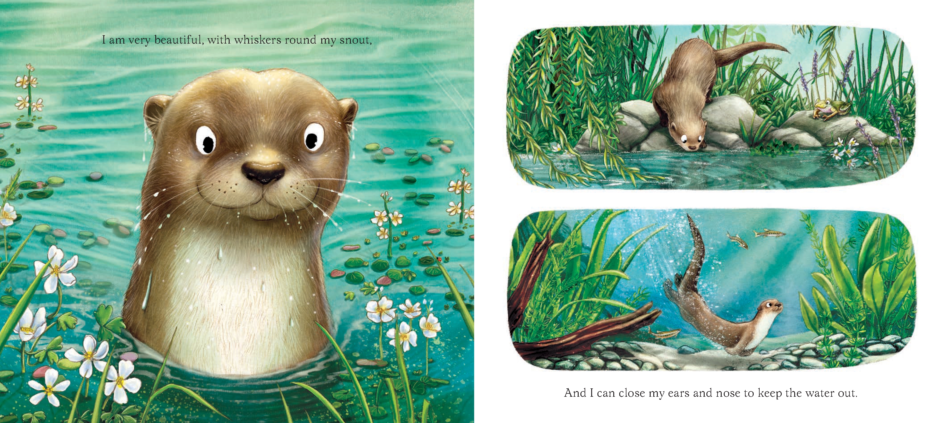 I Am Oliver the Otter
