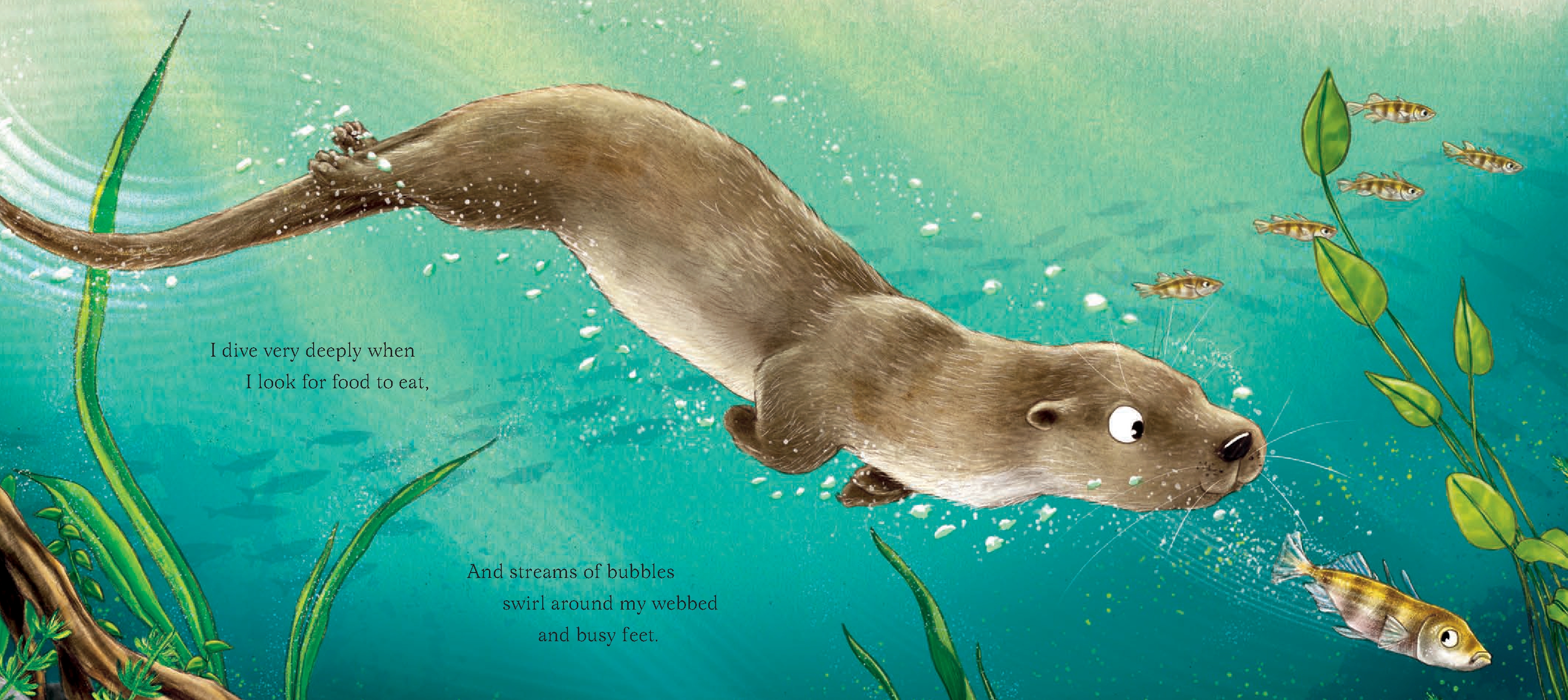 I Am Oliver the Otter