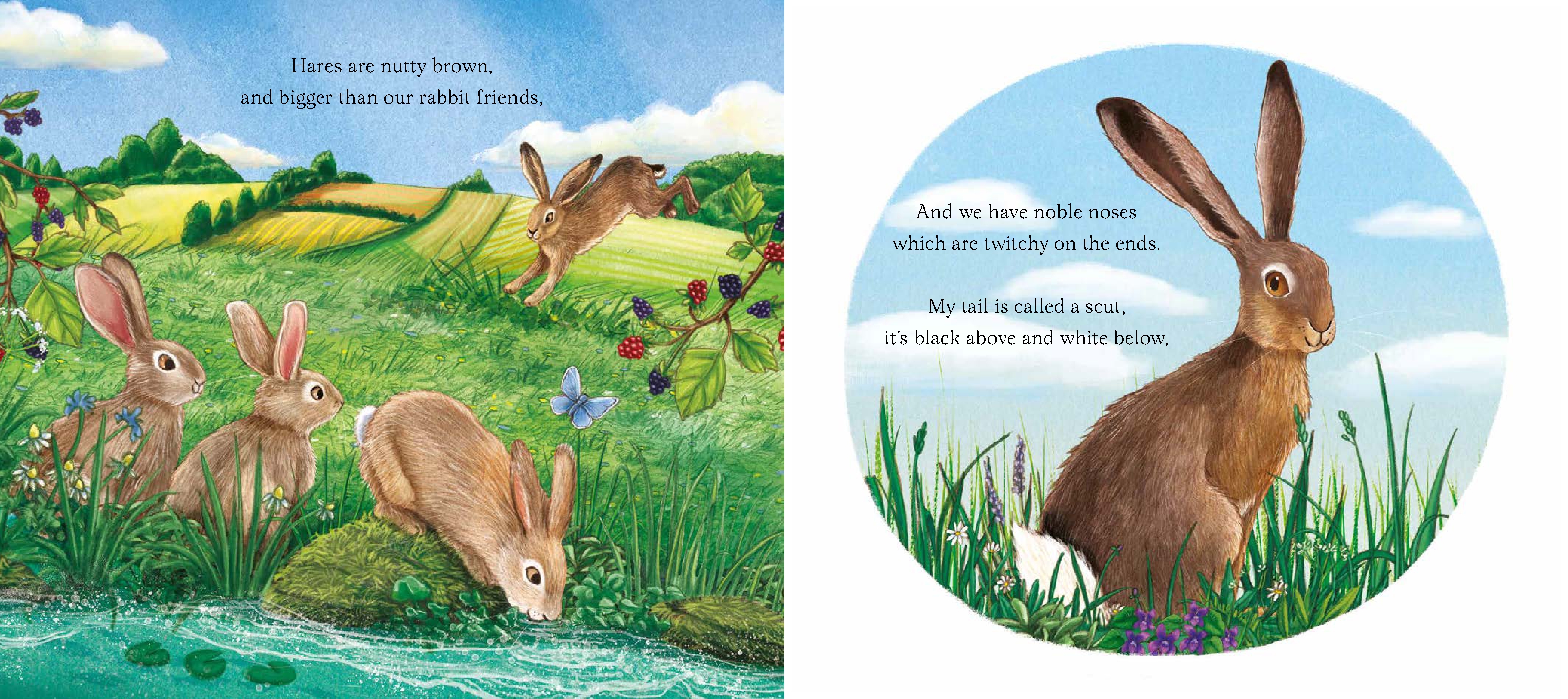 I Am Hattie the Hare