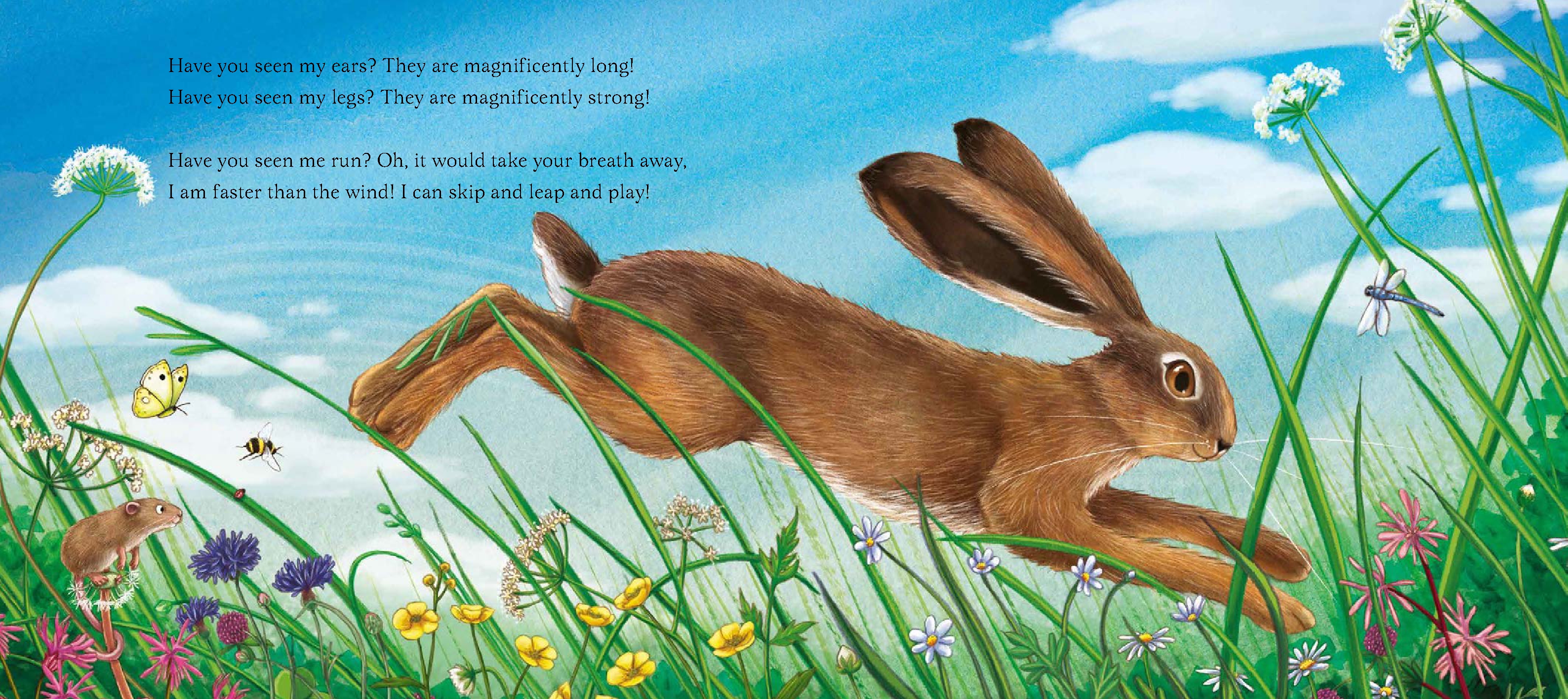 I Am Hattie the Hare