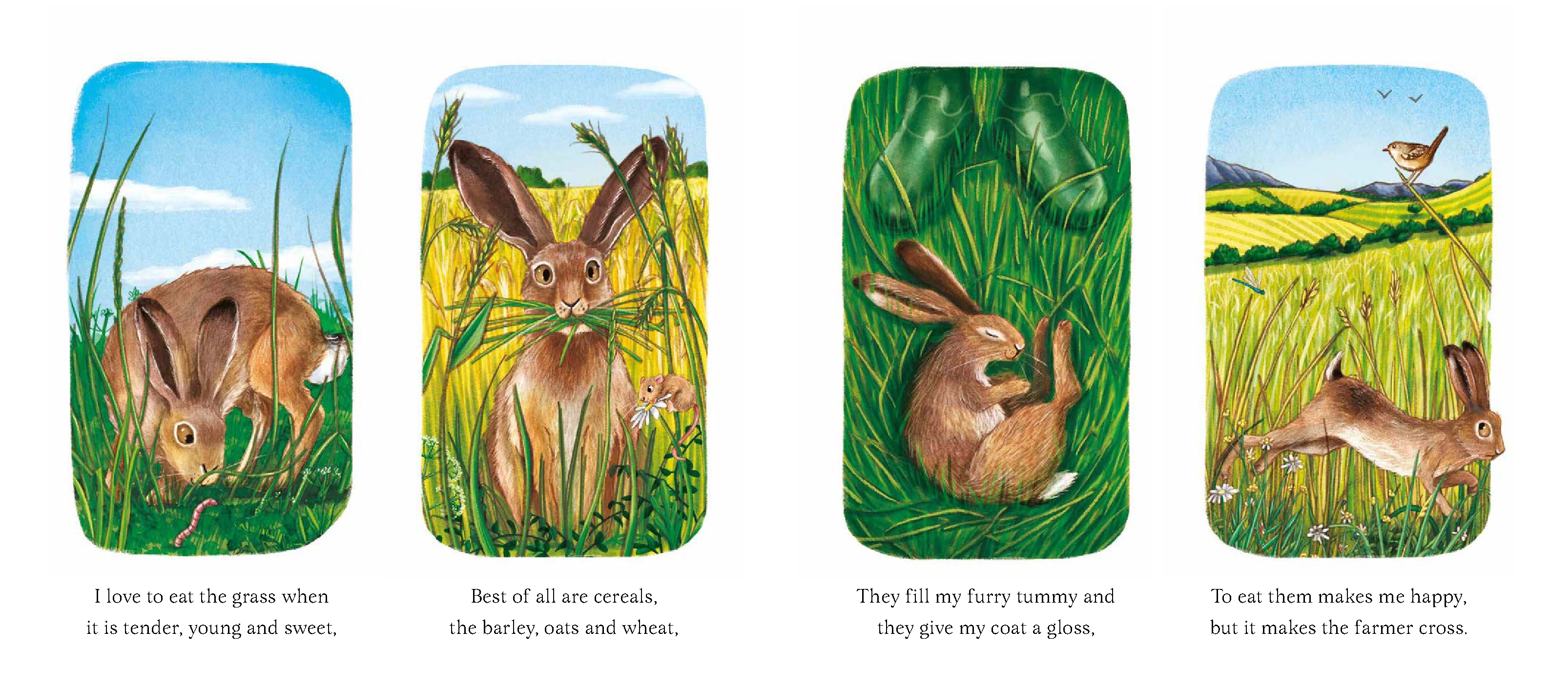 I Am Hattie the Hare