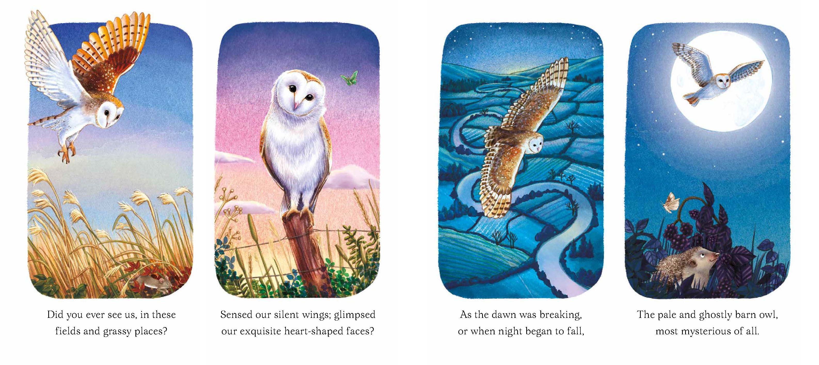 I Am Emily the Owl