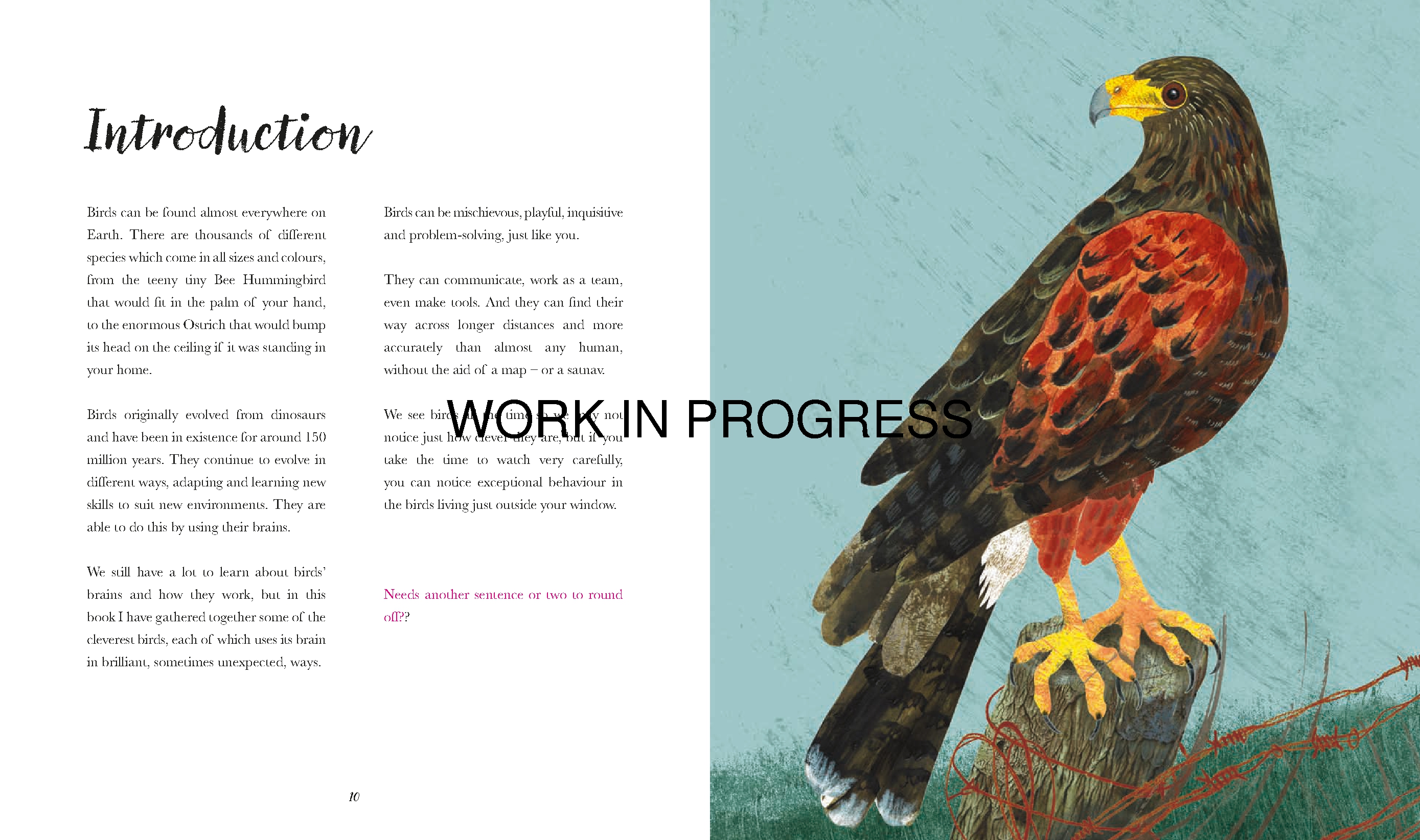 Bright Birds