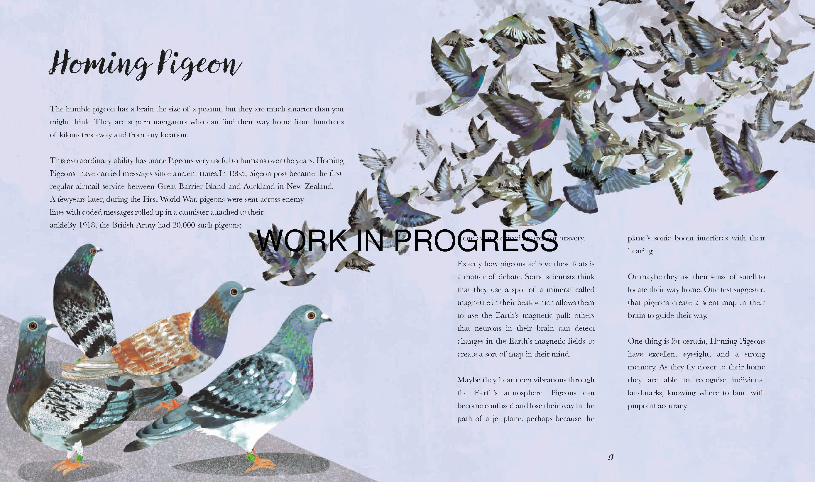 Bright Birds