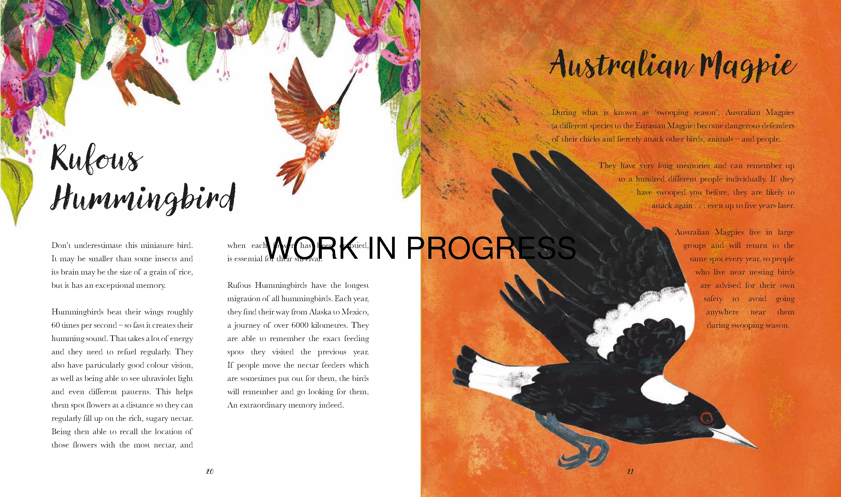 Bright Birds