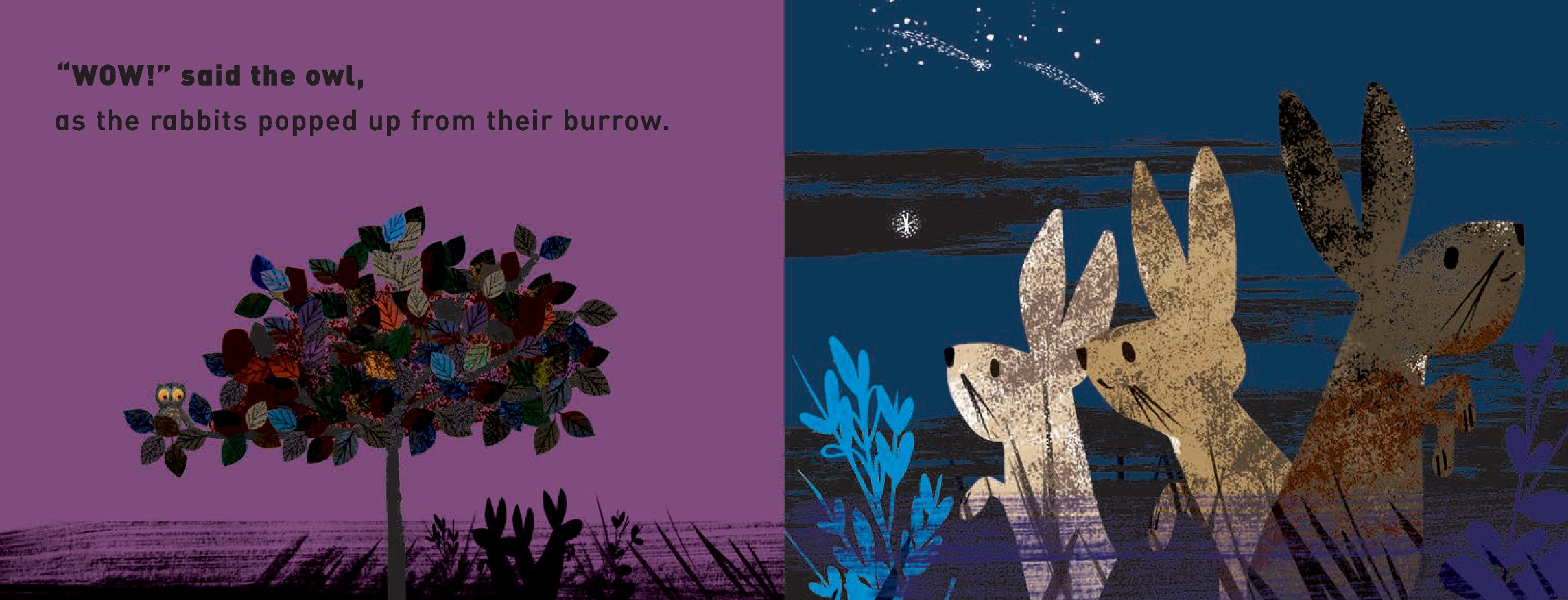 WOW! It's Night-time