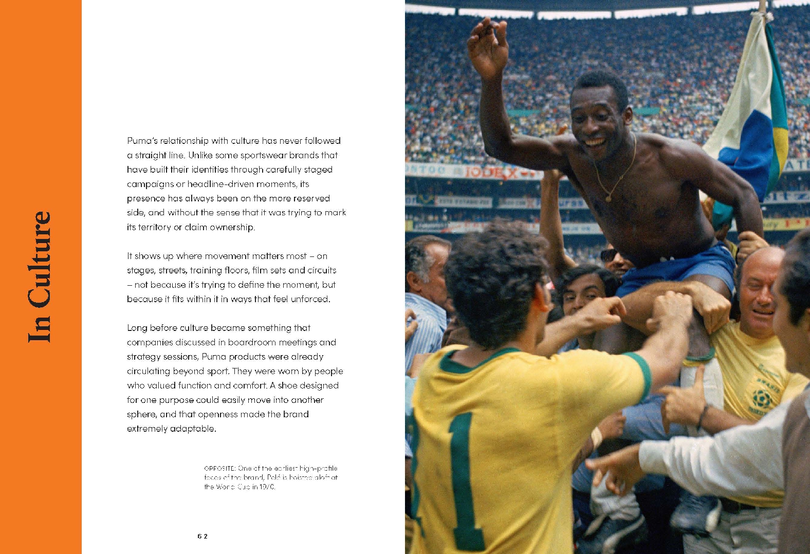 A Pocket Guide to Puma