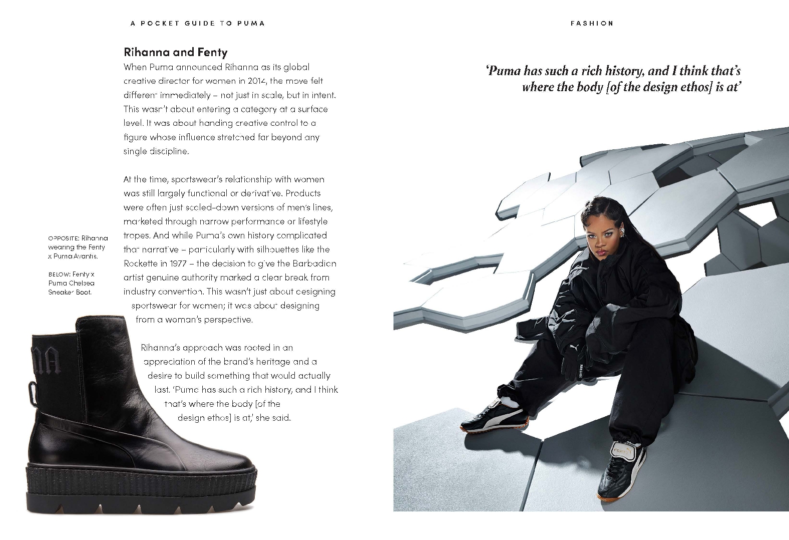 A Pocket Guide to Puma