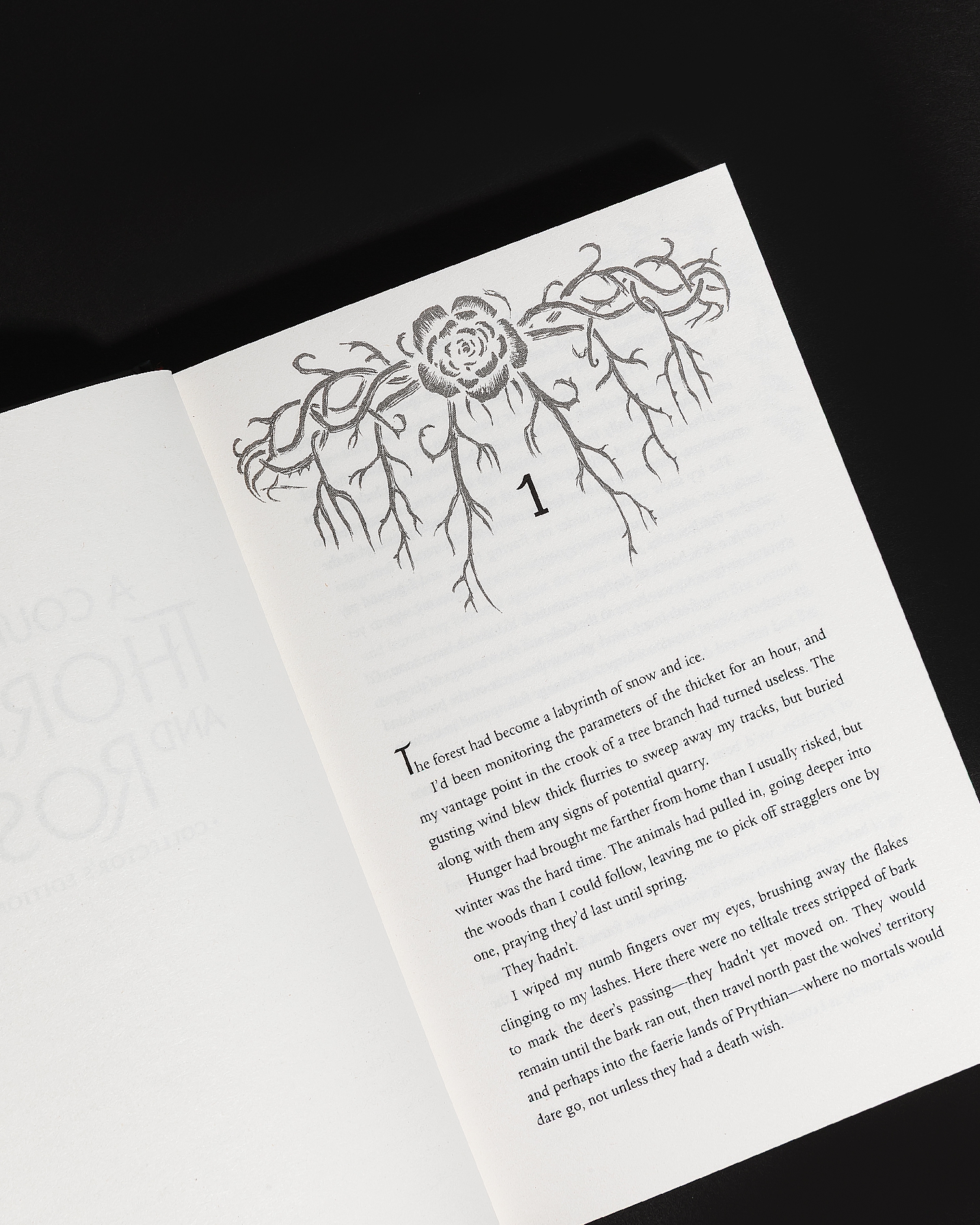 A Court of Thorns and Roses Collector's Edition