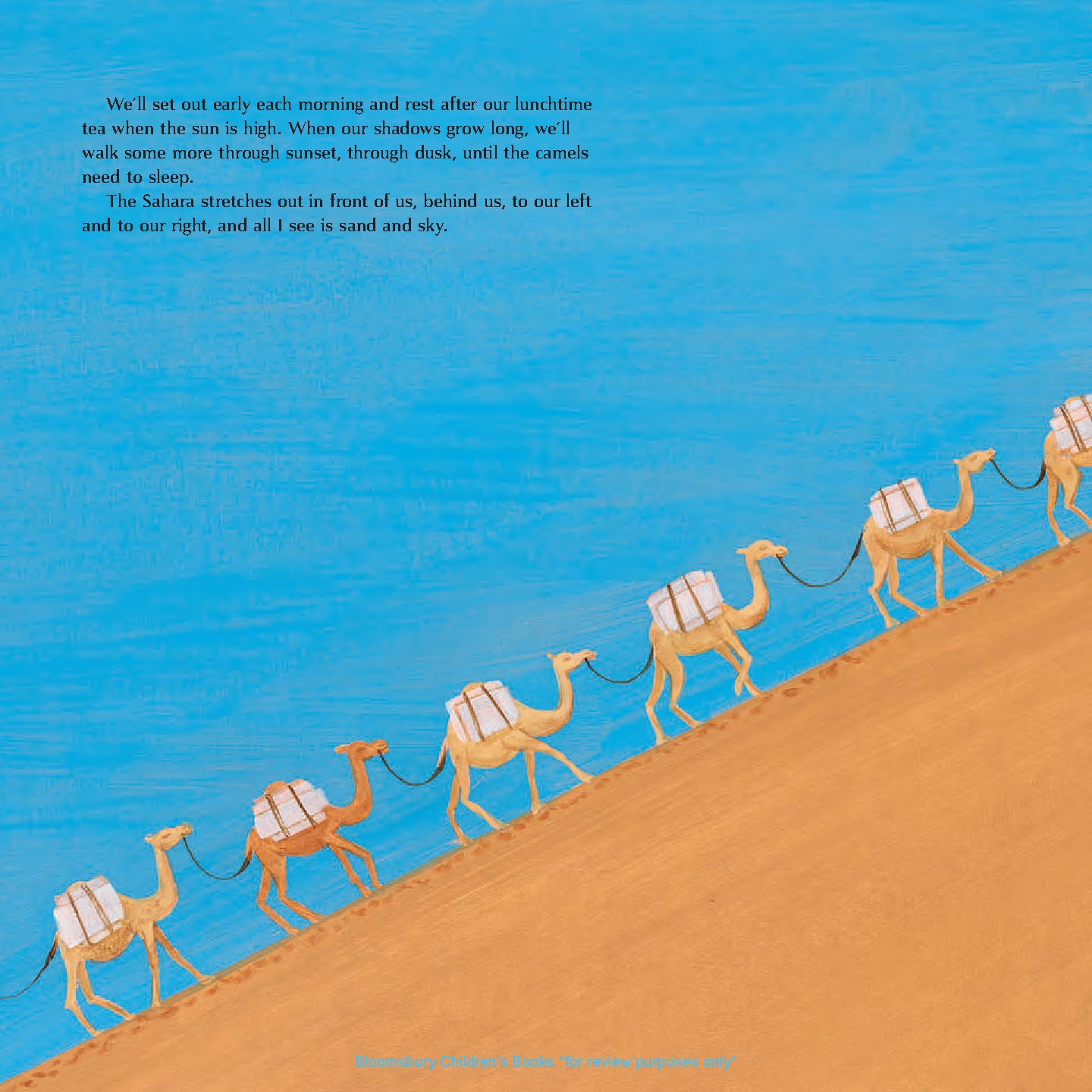 Through Sand and Salt