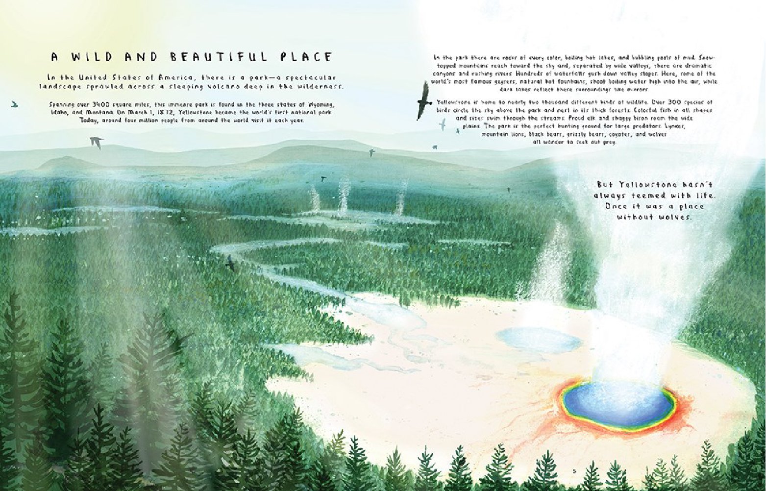 The Wolves of Yellowstone