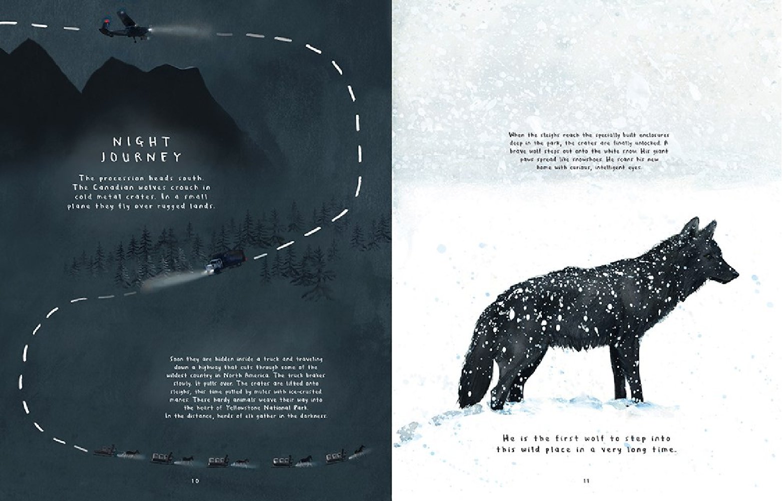 The Wolves of Yellowstone