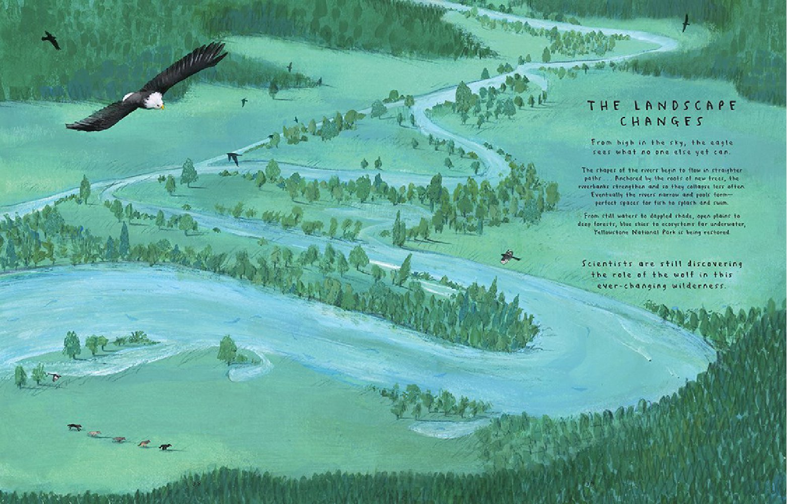 The Wolves of Yellowstone