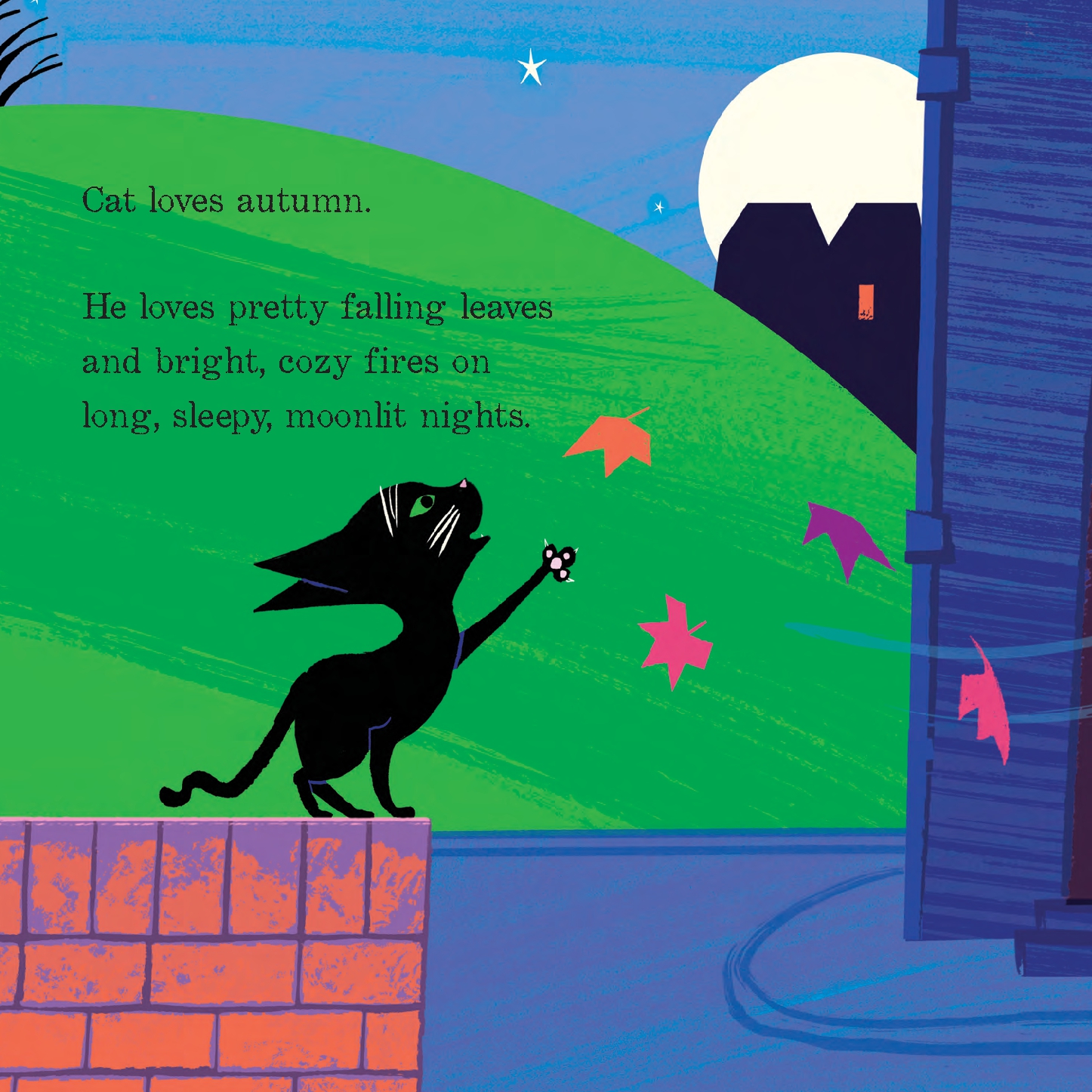 Cat's Halloween