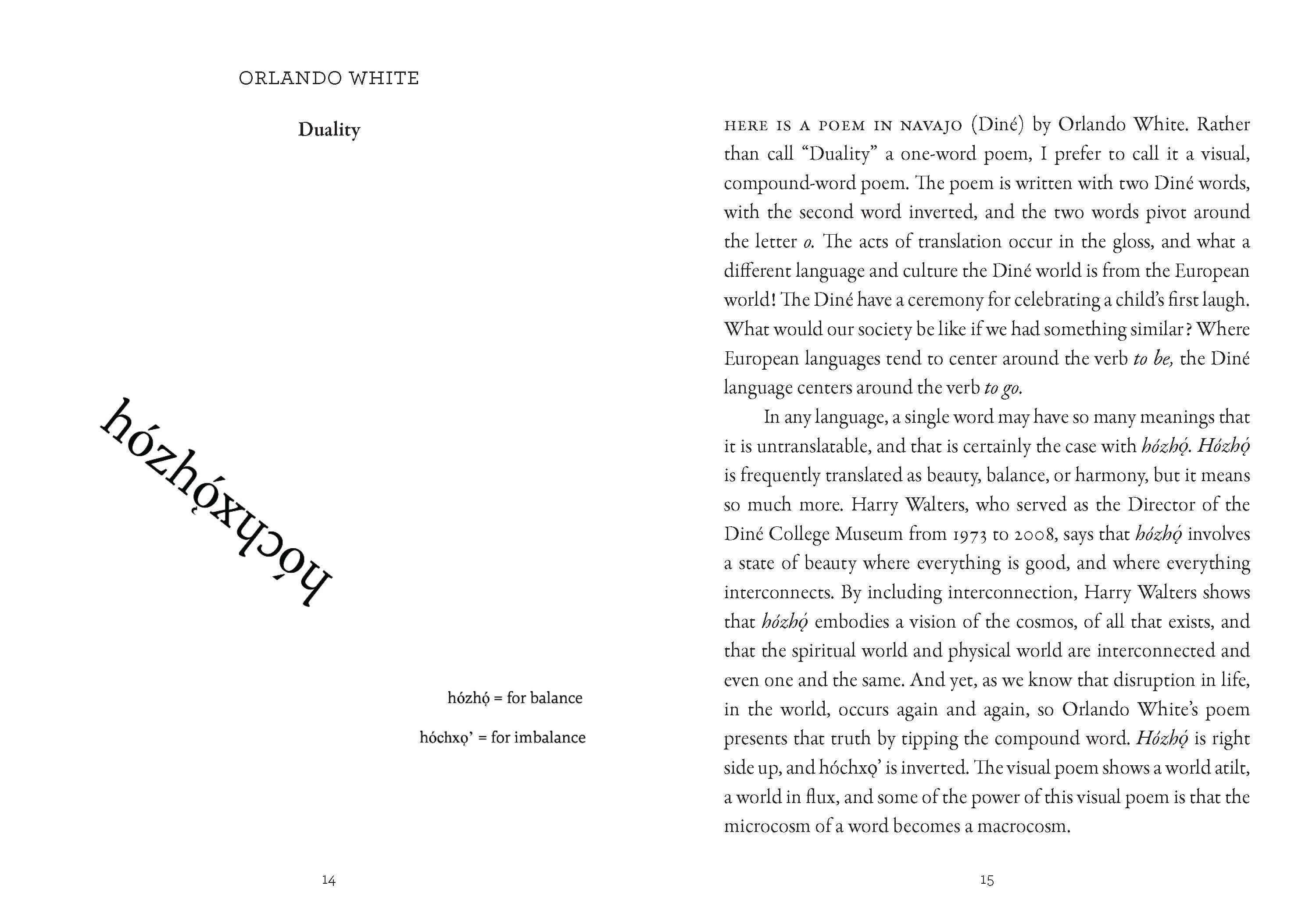 Transient Worlds: On Translating Poetry