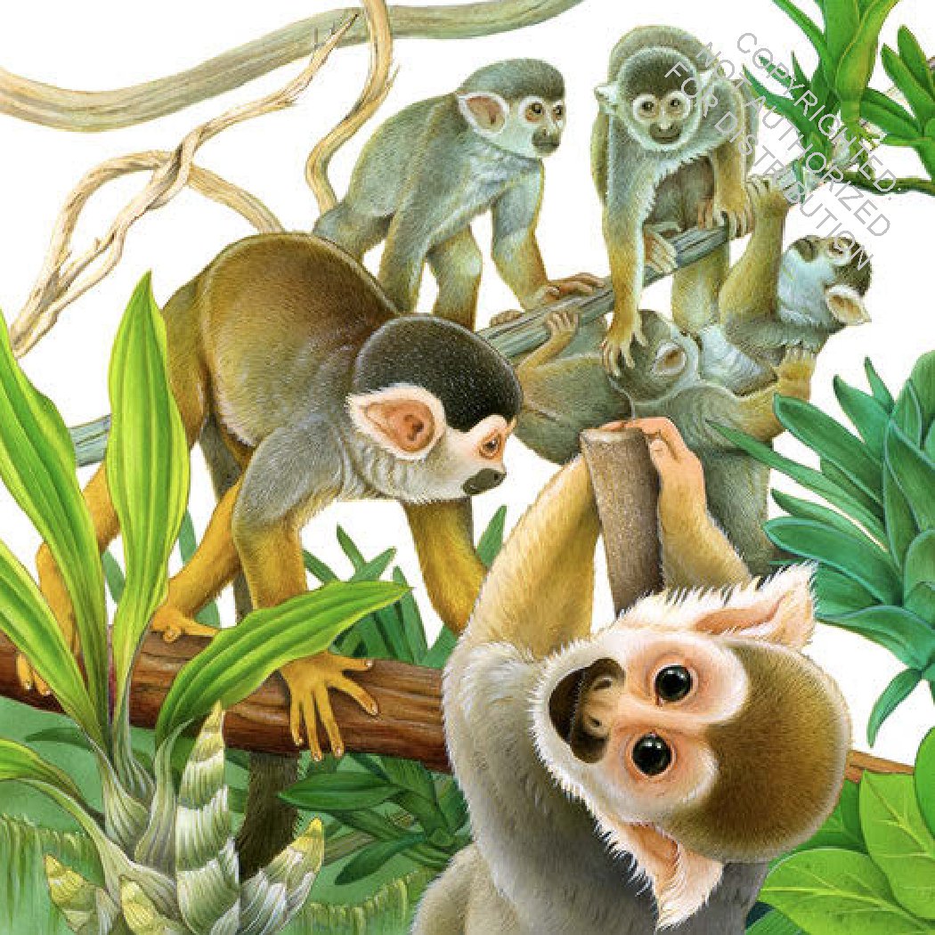 Crowds of Creatures