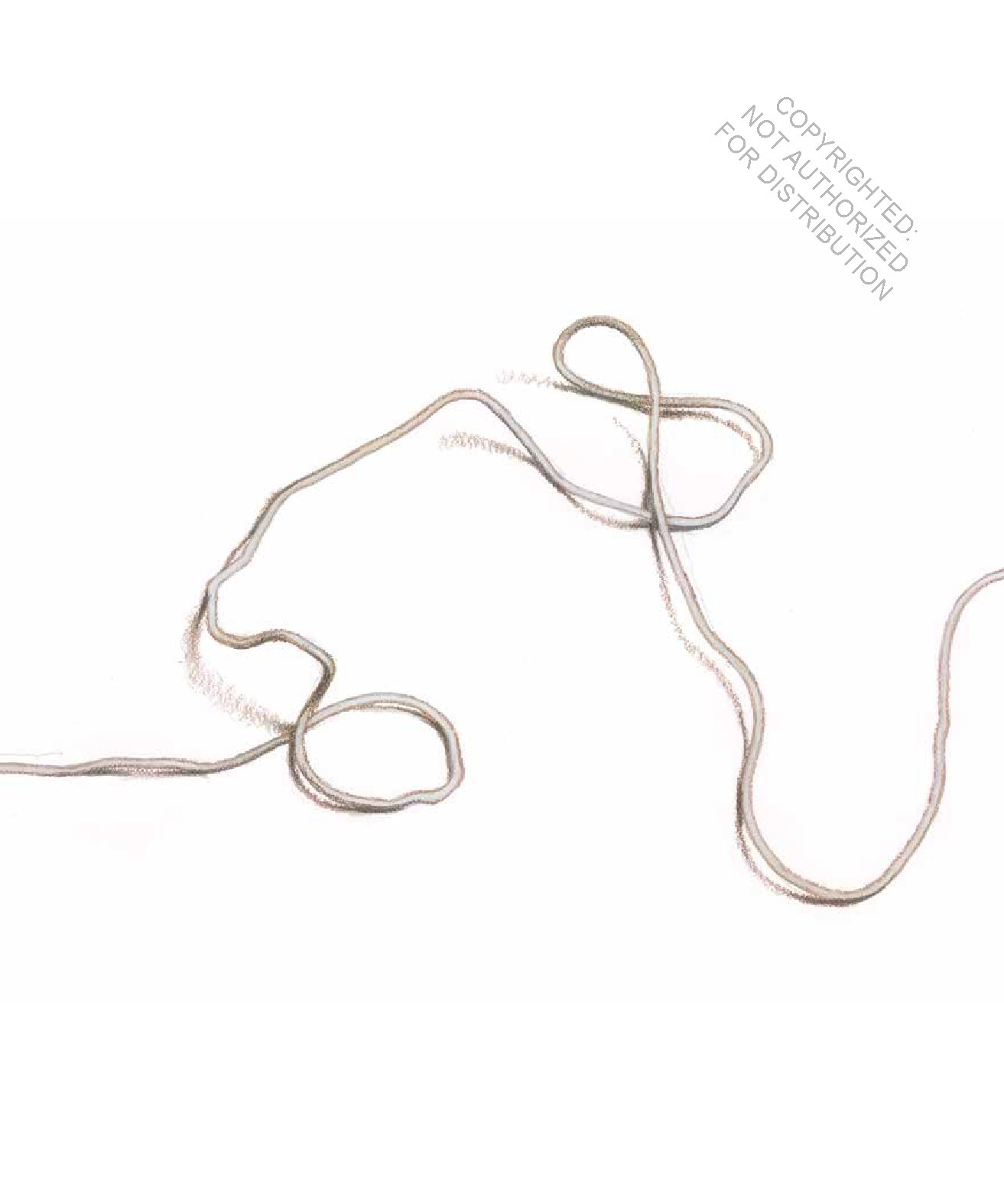 What to Do with a String