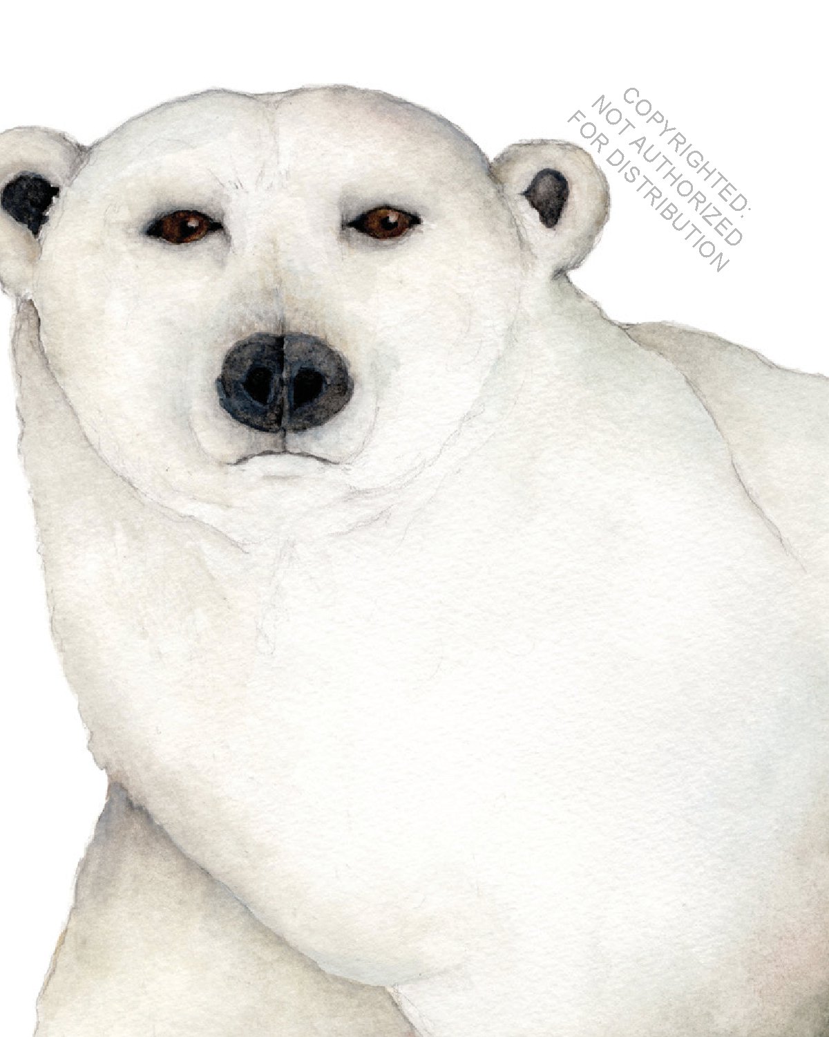 I Am Polar Bear