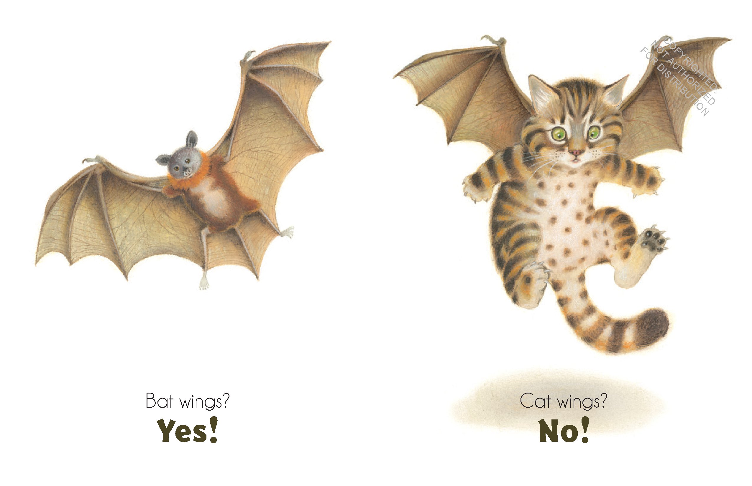 Bat Wings! Cat Wings?