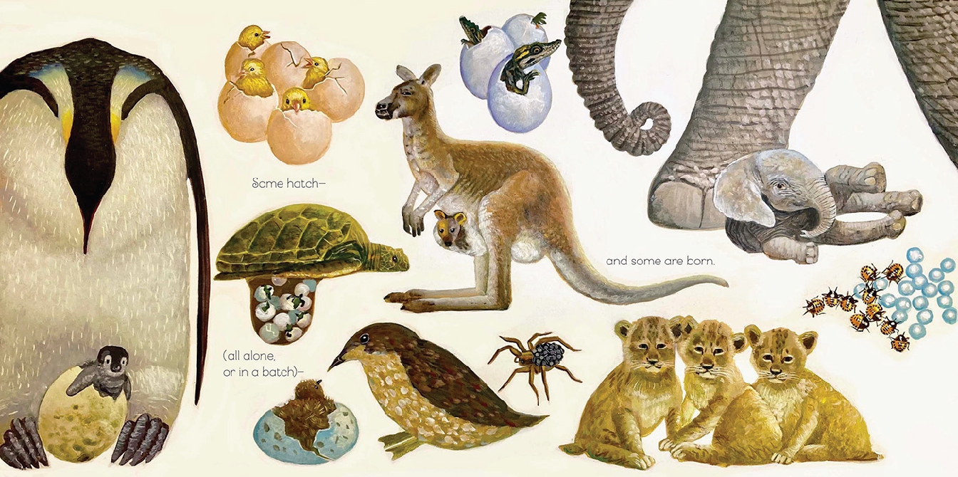 You Belong in This World