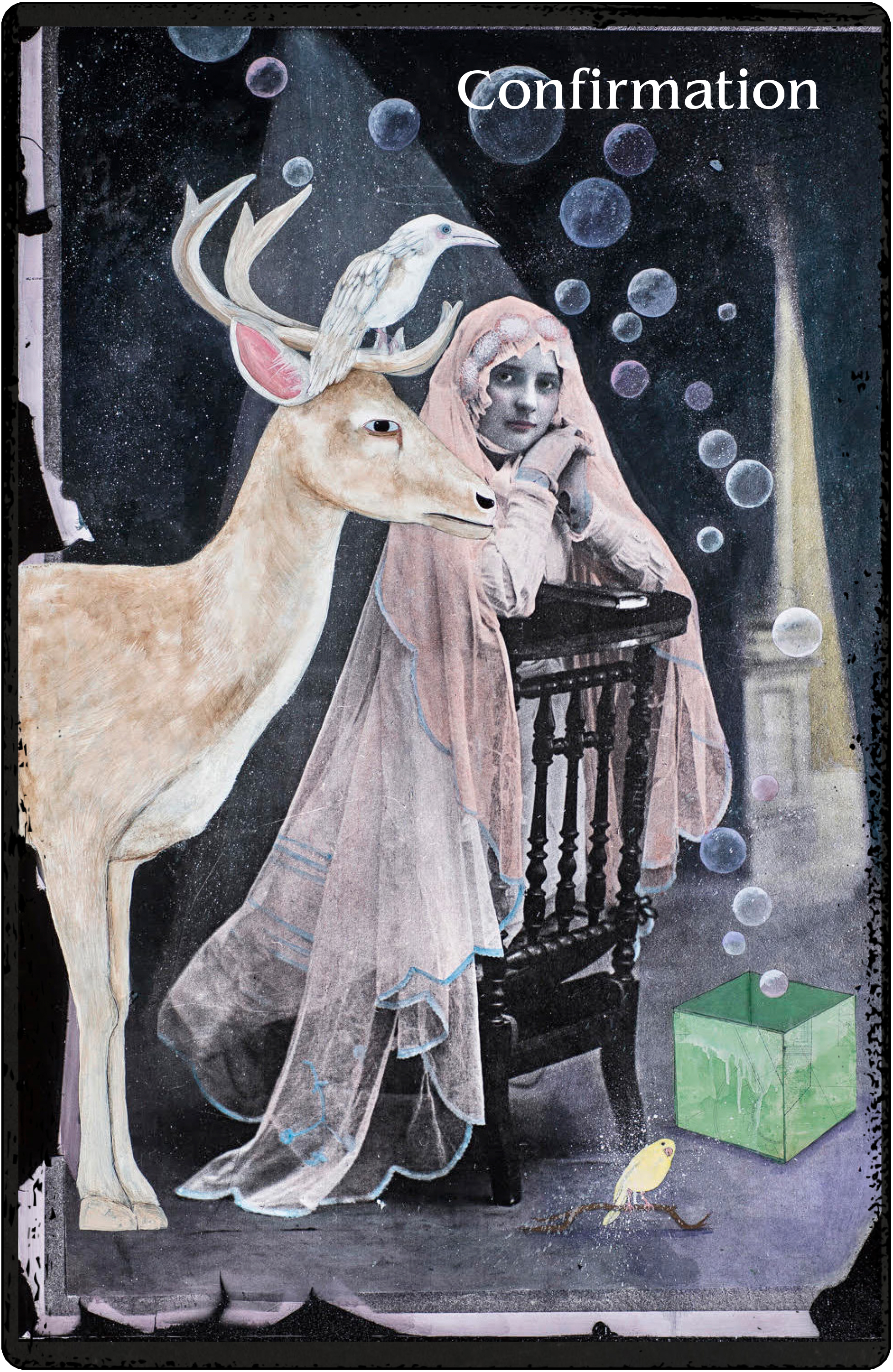 The Oracle of Rewilding