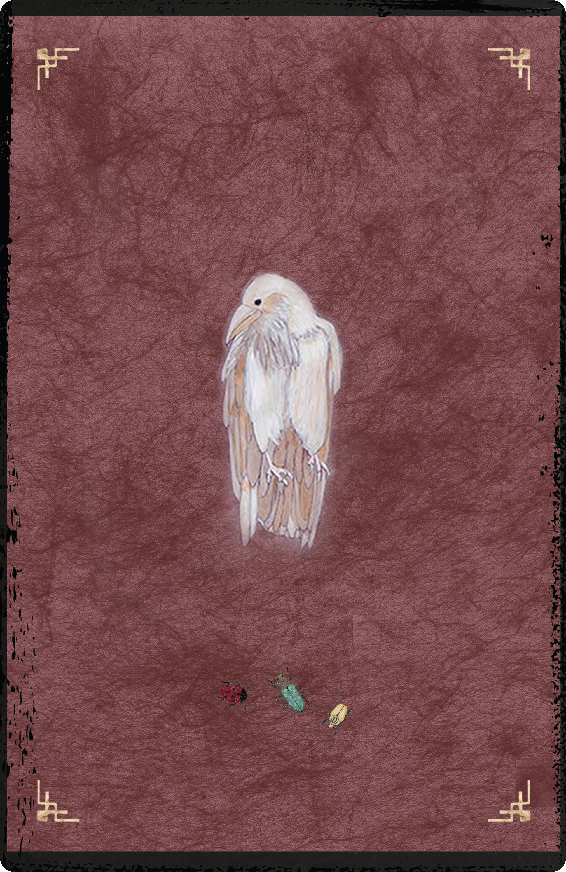 The Oracle of Rewilding