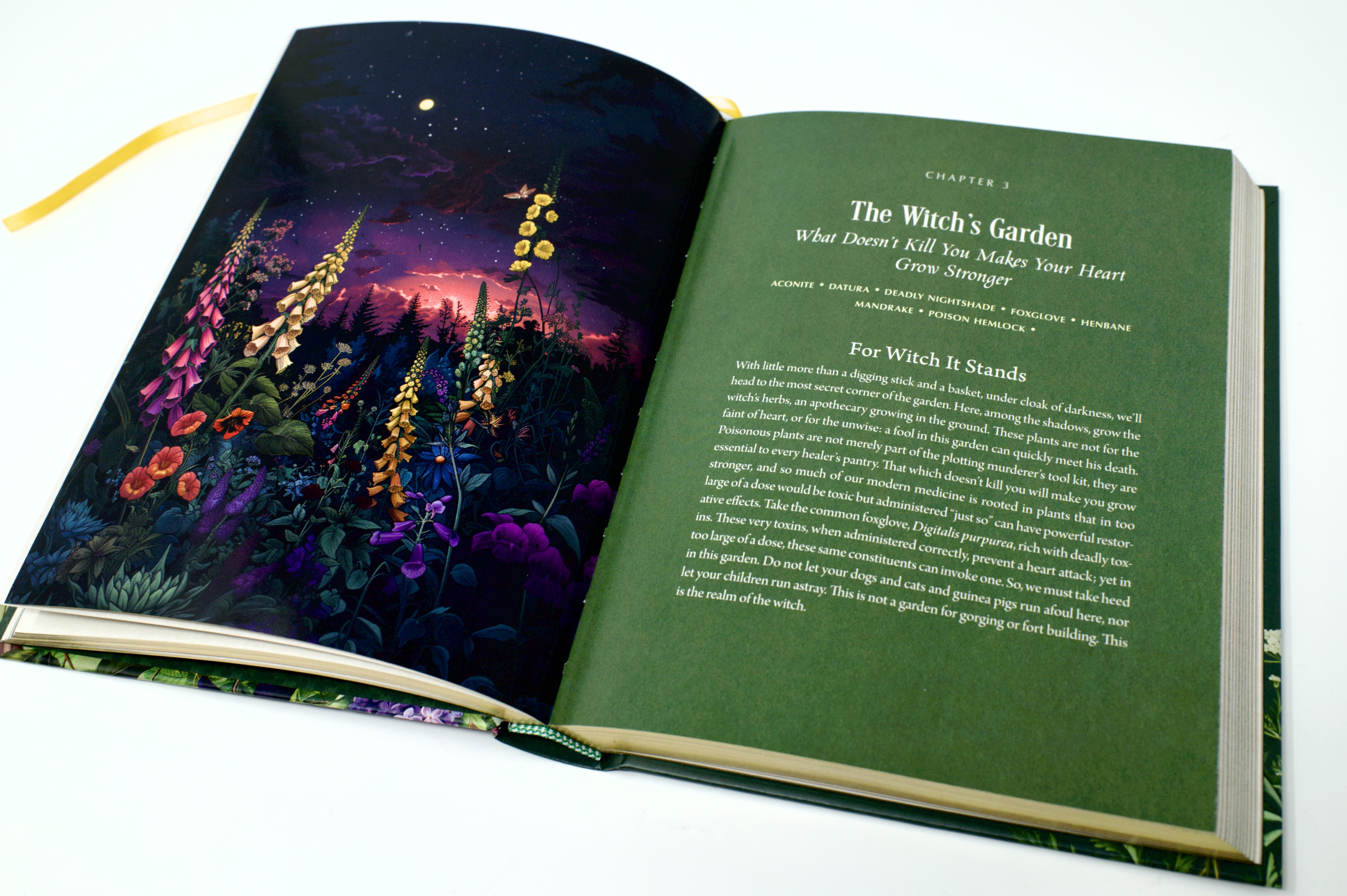 Enchanted Plants