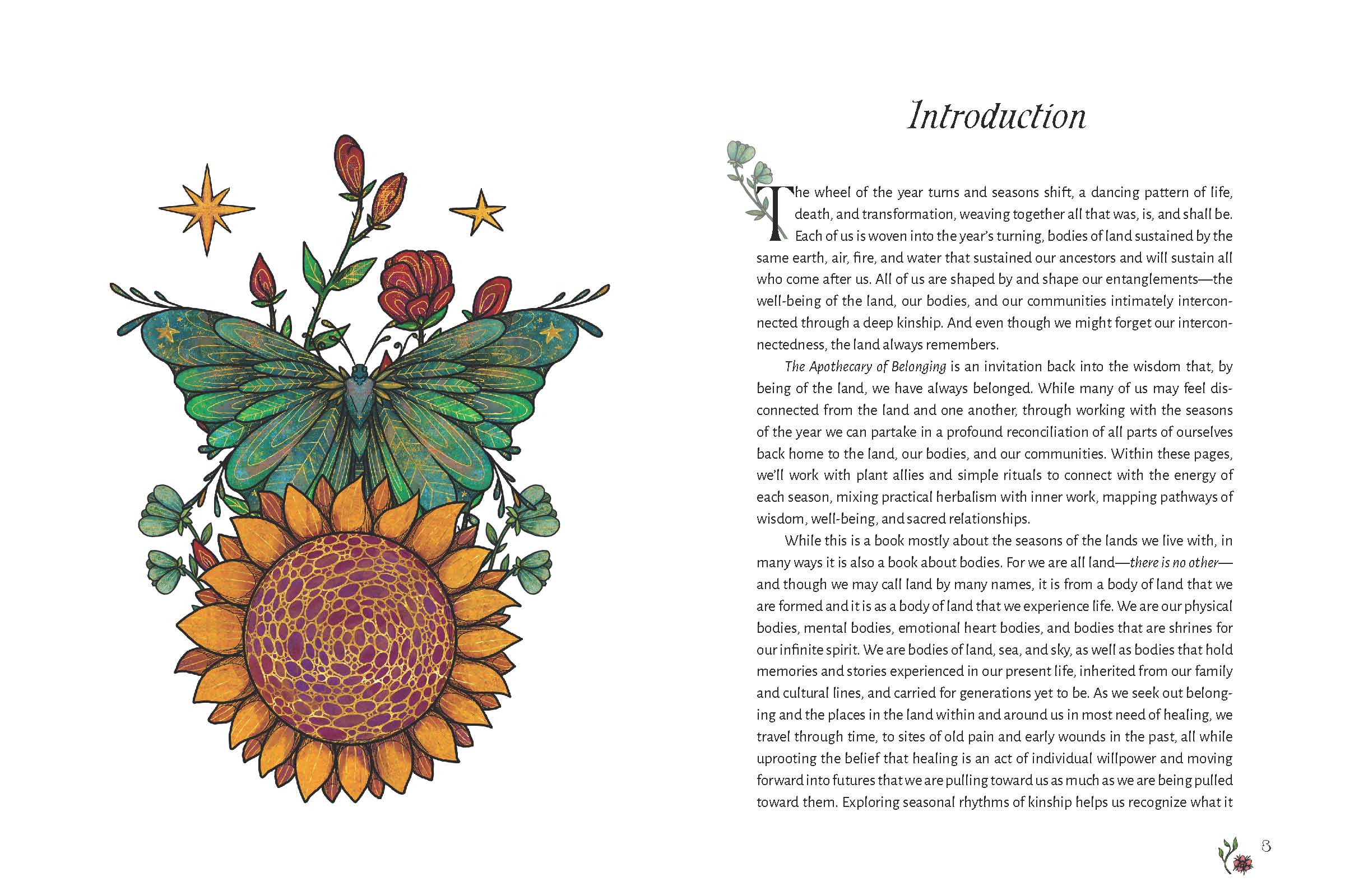 The Apothecary of Belonging