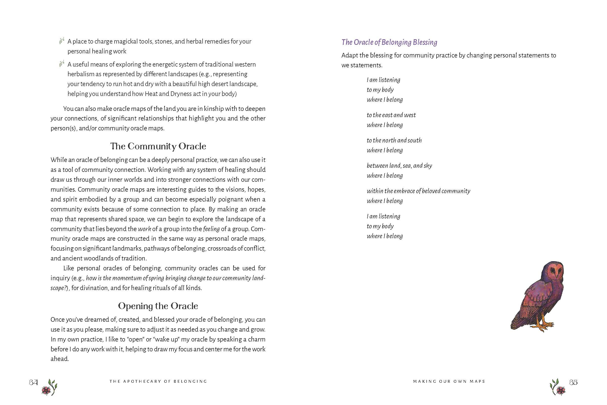 The Apothecary of Belonging