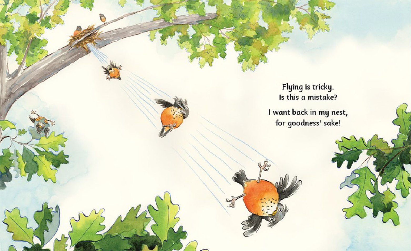 Why Should I Walk? I Can Fly!