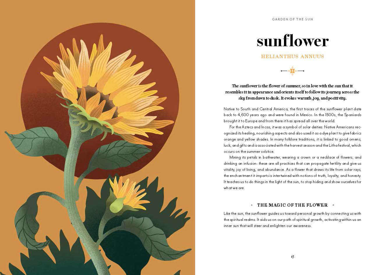 Flower Magic