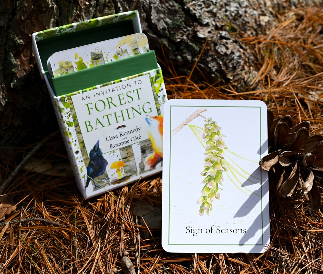 An Invitation to Forest Bathing