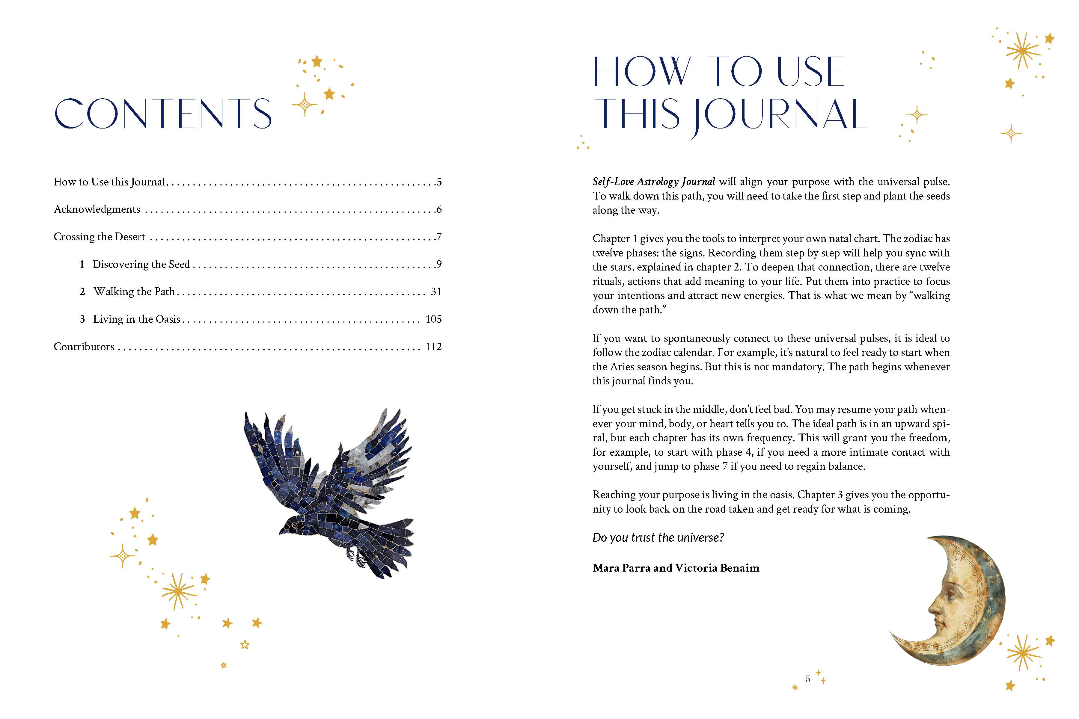 Self-Love Astrology Journal